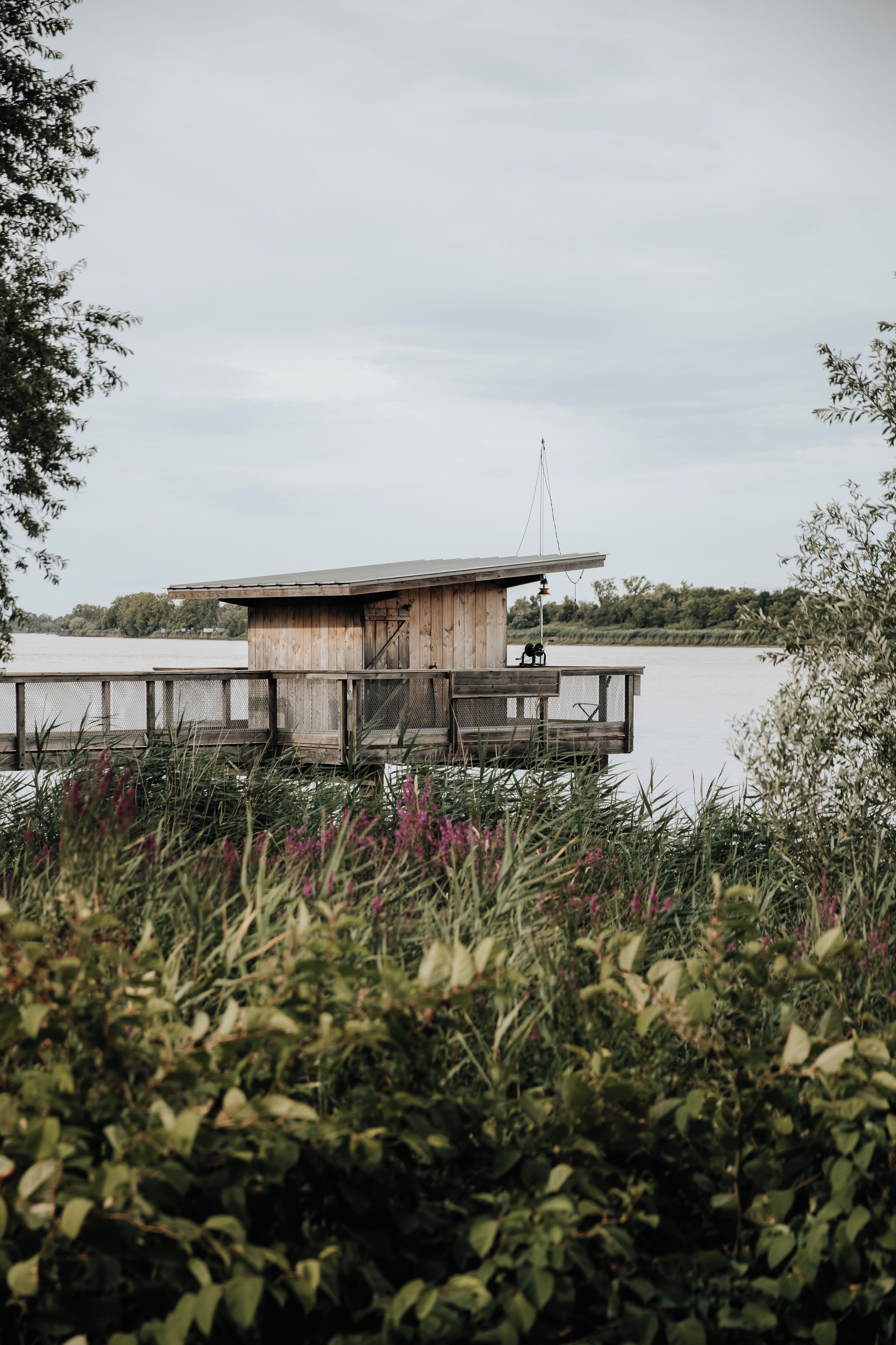 Une jetée en bois avec une petite cabane, entourée d’eau et de végétation.