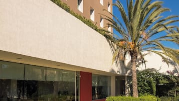 Un edificio moderno con techo plano, ventanas amplias y un césped cuidado con una palmera.