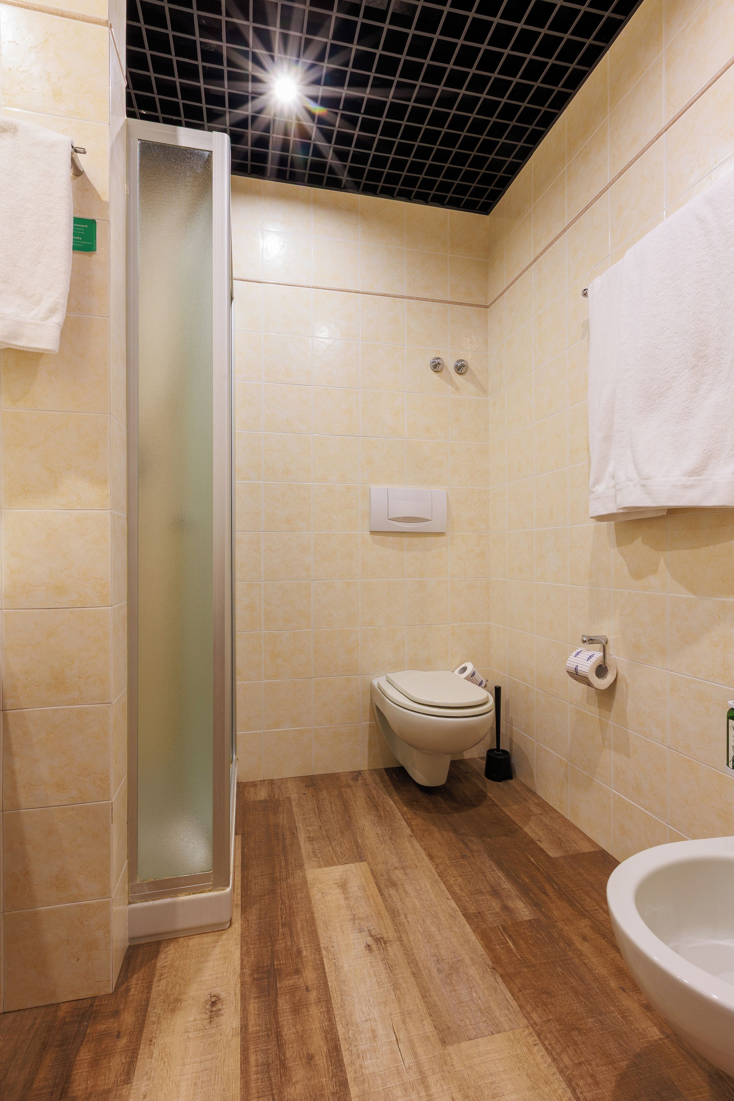 Une salle de bain avec douche, toilettes et lavabo.