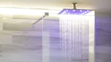 Superior-Doppelzimmer | Dusche im Bad
