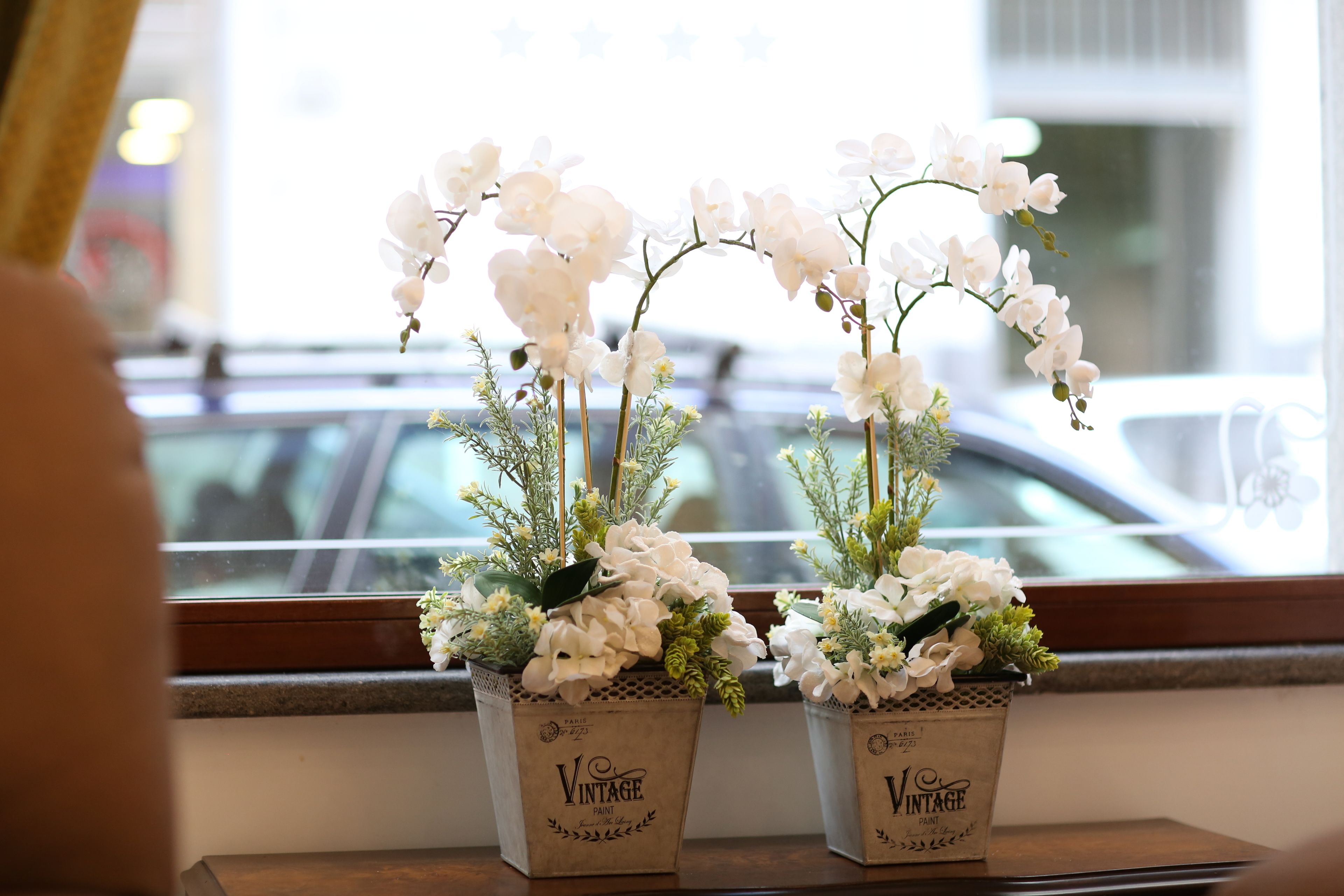 Two potted plants with white flowers and green foliage on a windowsill.