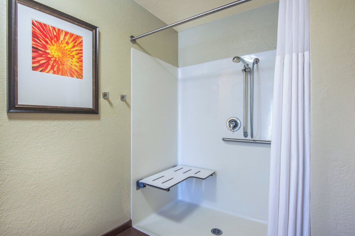 Studio Suite, Accessible, Kitchen (Roll-In Shower) | Desk, blackout curtains, iron/ironing board, free WiFi
