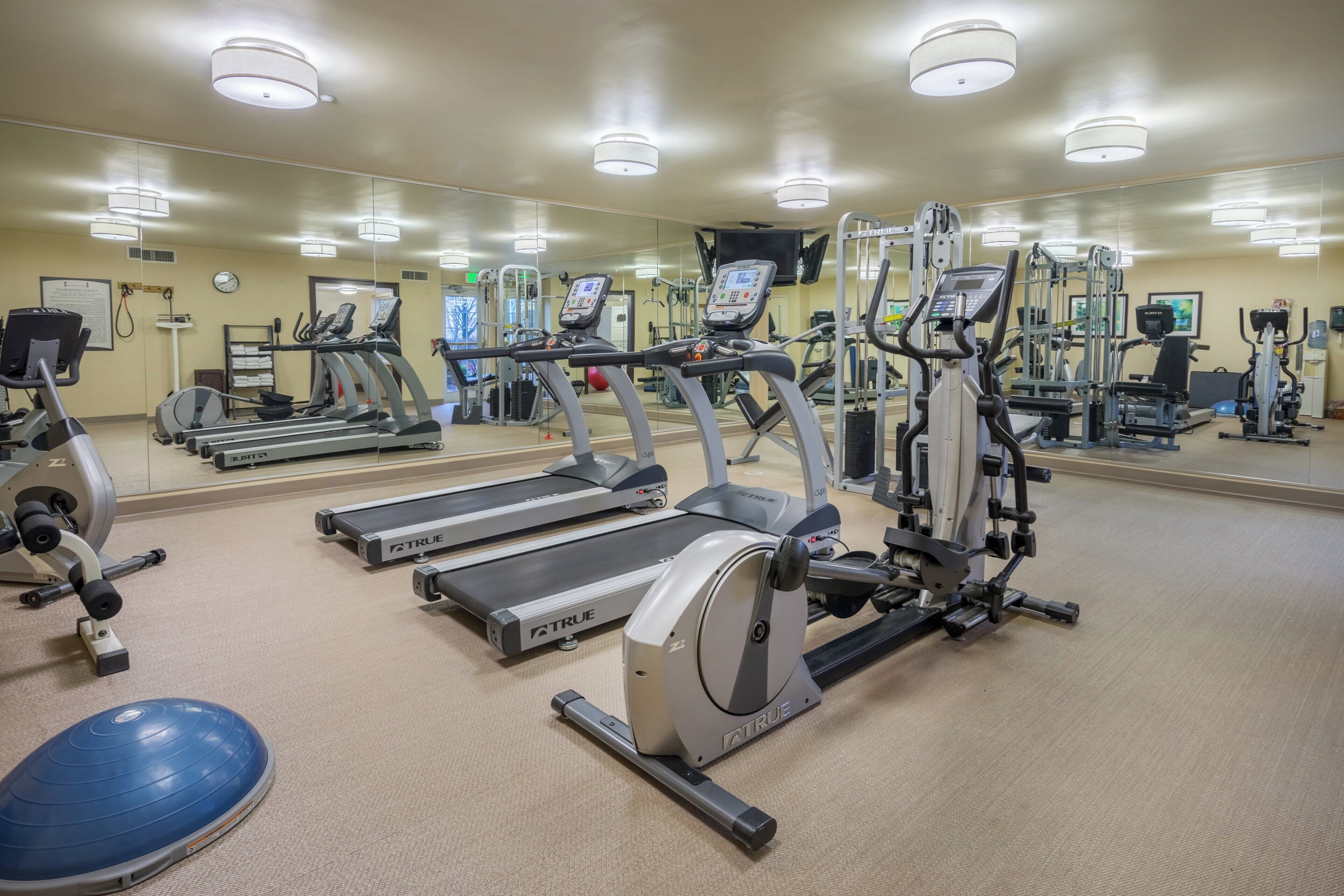 A gym with treadmills, elliptical machines, and free weights.
