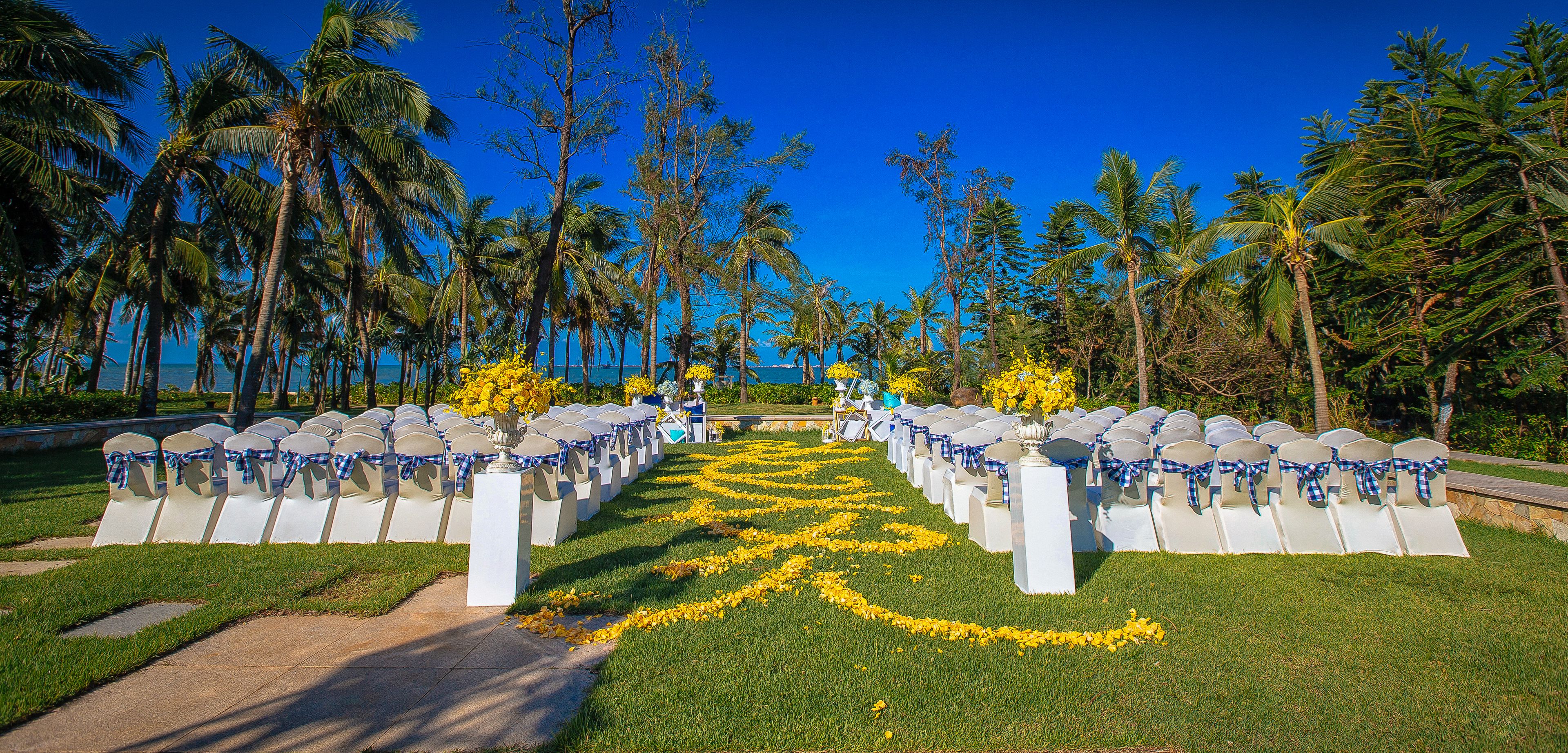Un pasillo ceremonial con sillas blancas y un diseño floral amarillo sobre el césped, bordeado por palmeras y un cielo azul despejado.