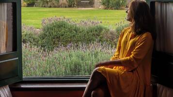 A person sitting by a window overlooking a garden and mountains.