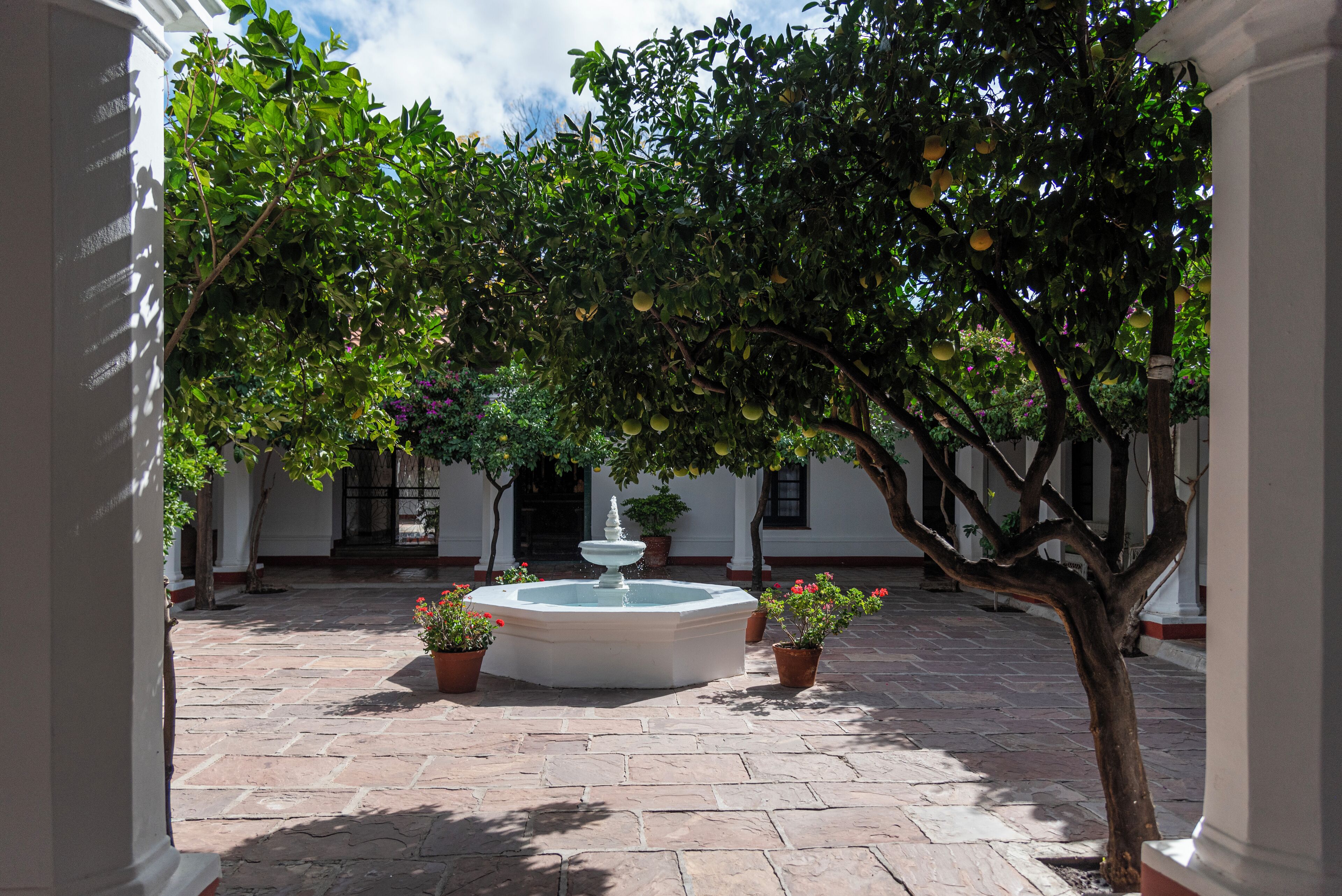 A courtyard with a fountain, potted plants, and a tree.