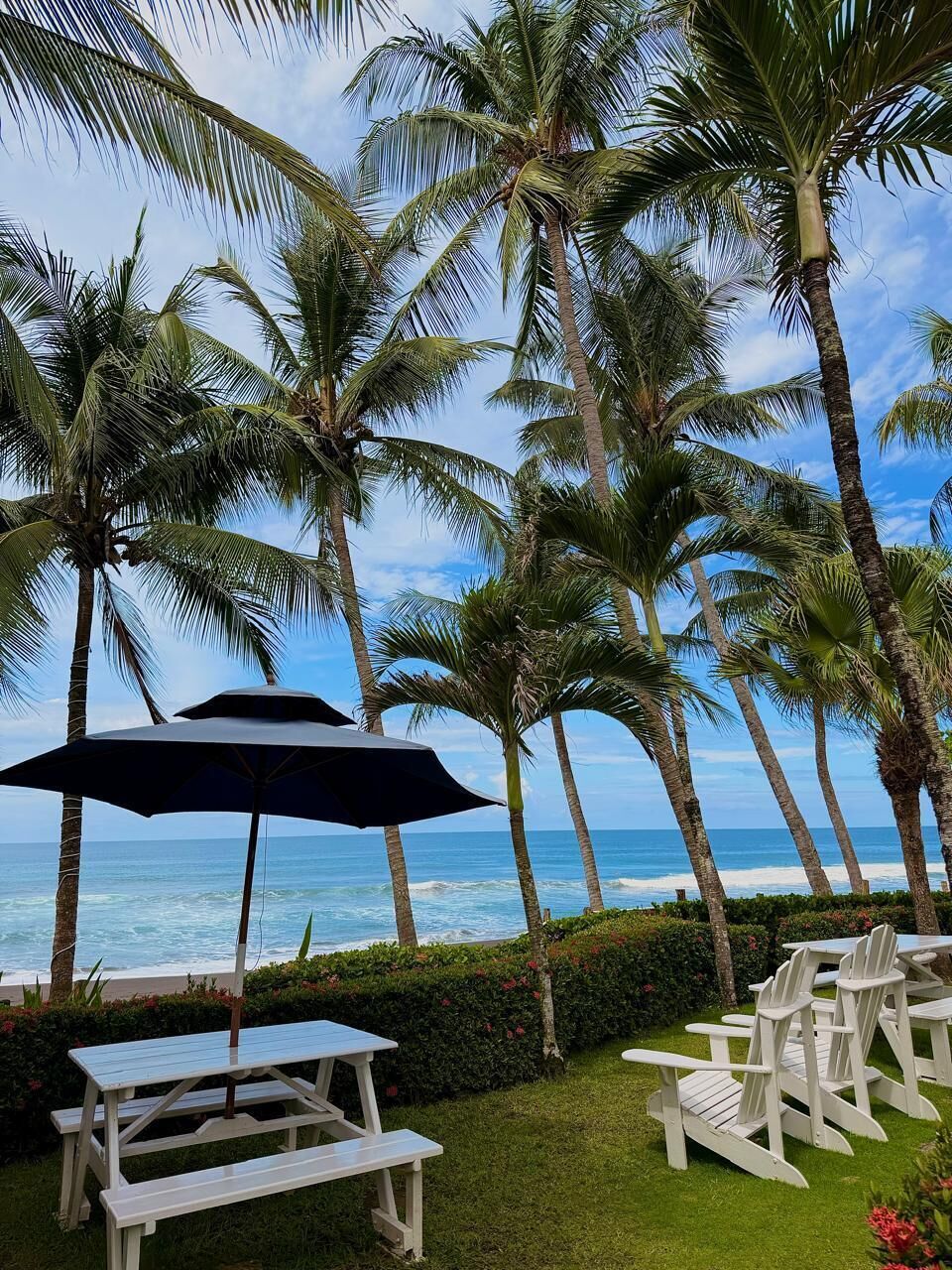 A beachside patio with a table and chairs, surrounded by palm trees and a view of the ocean.