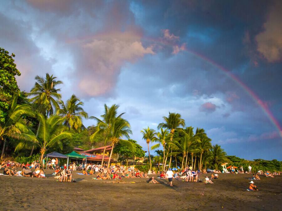 A beach with palm trees and a crowd of people.