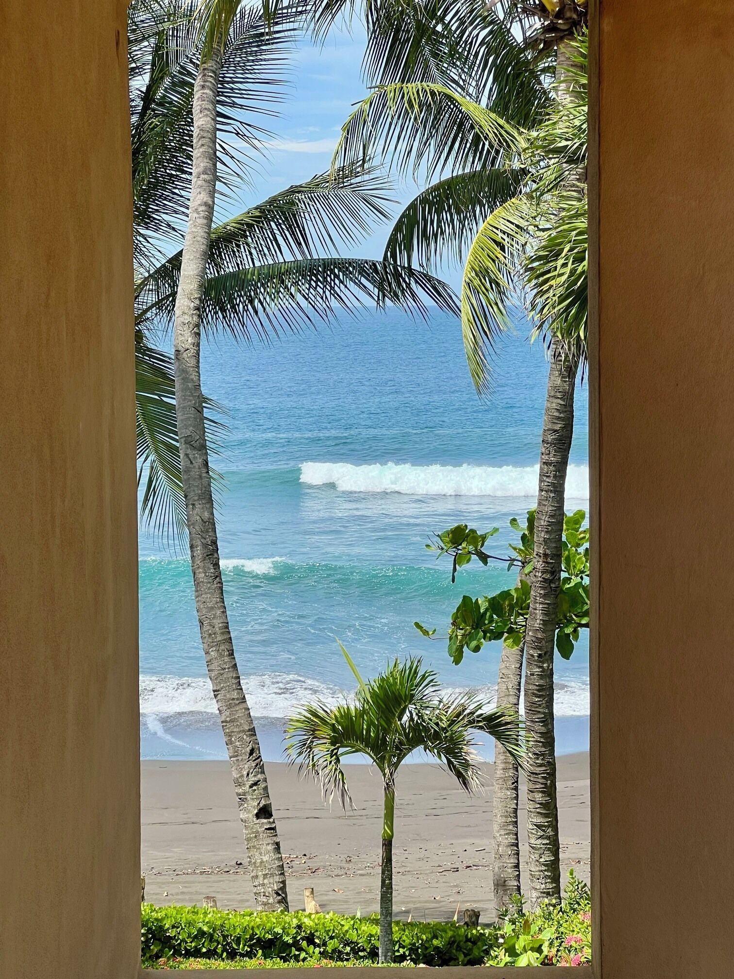 A view of a beach with palm trees and ocean waves.