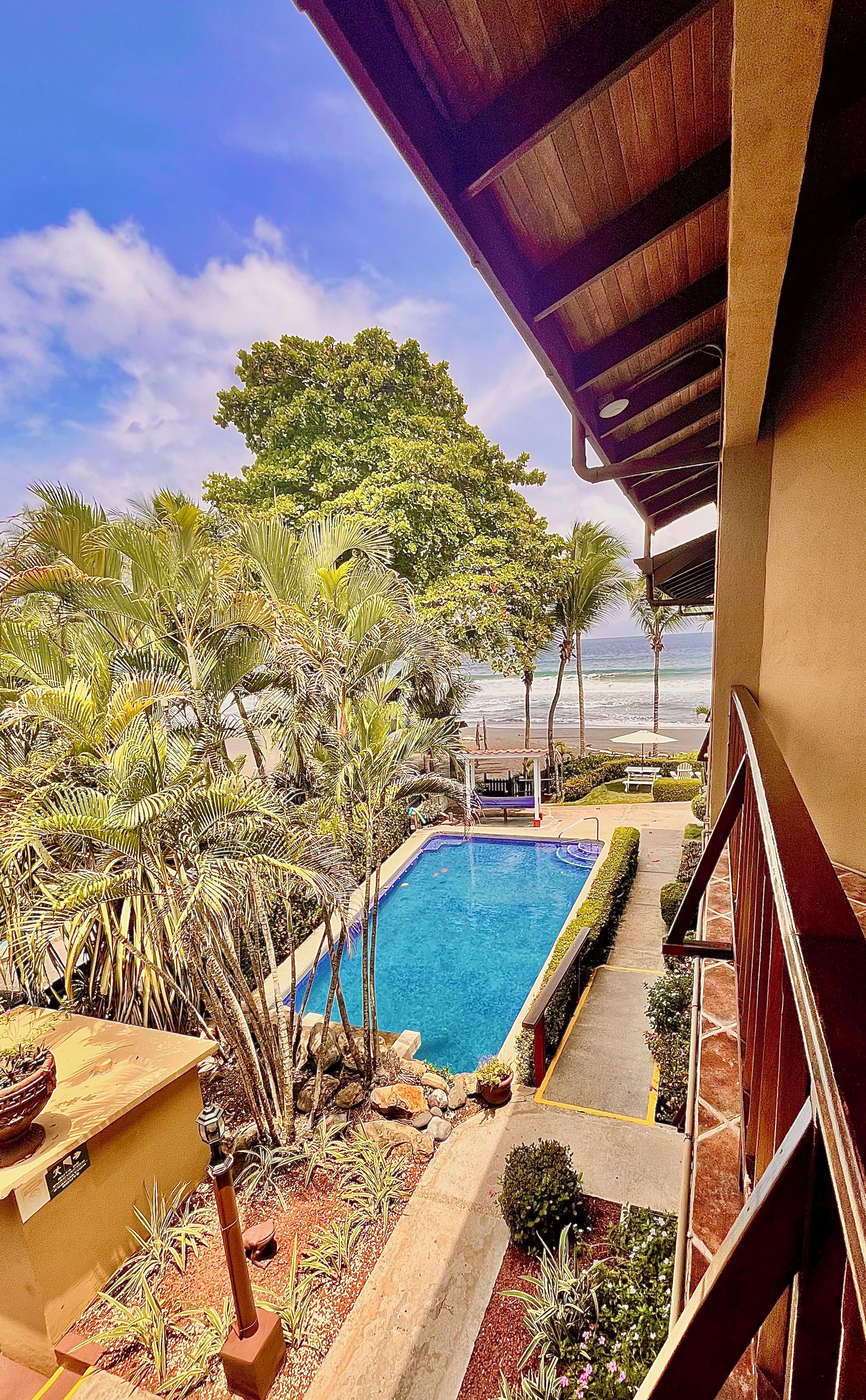 Piscina rodeada por plantas tropicais e vista para o oceano.