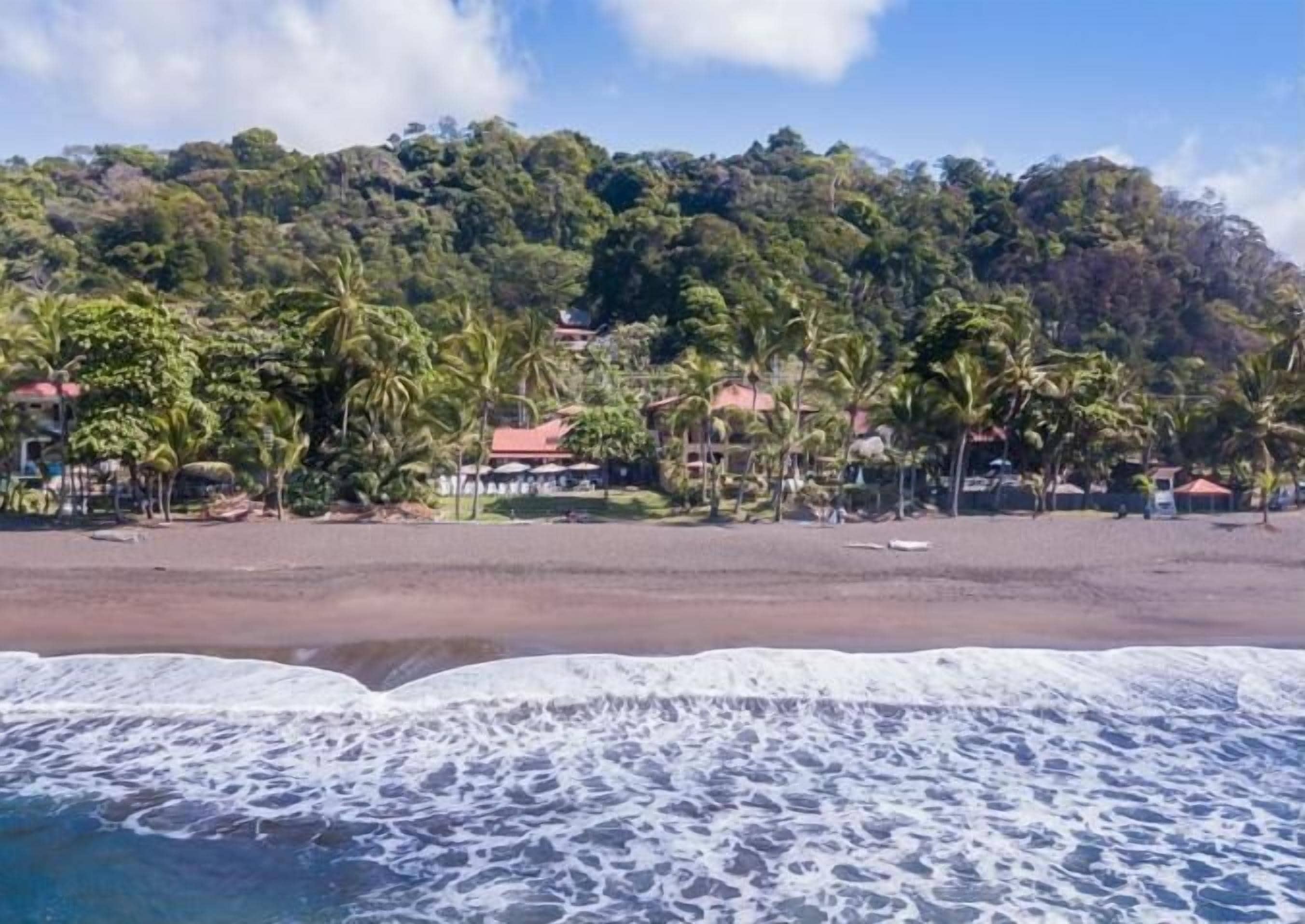A beach with a rocky shoreline, palm trees, and buildings with red roofs in the background.