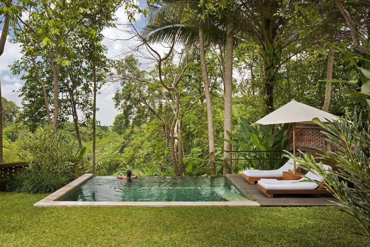 A rectangular pool with a wooden deck, surrounded by lush greenery and tall trees.