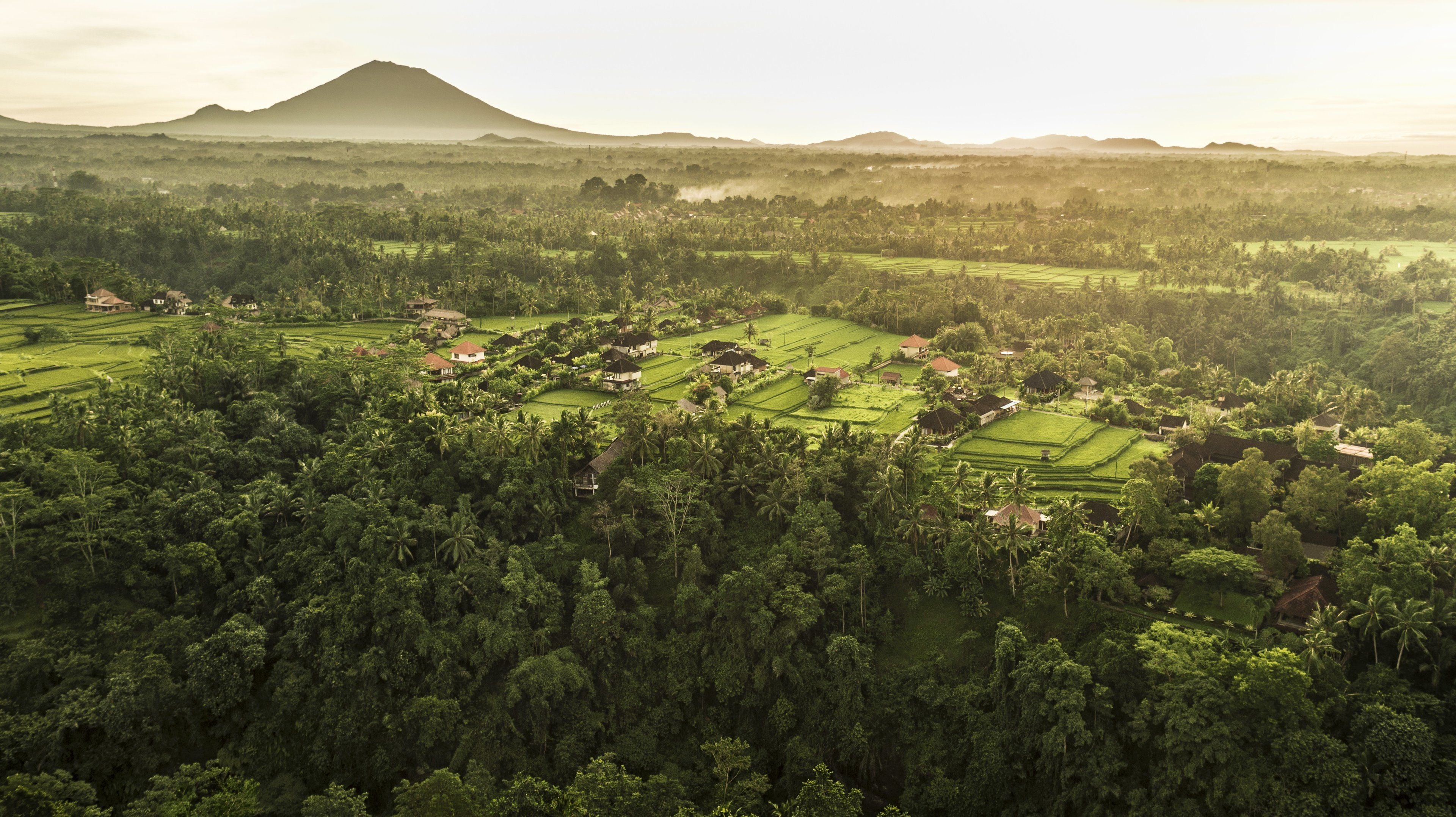 An aerial view of a rural landscape with scattered houses, lush greenery, and a mountain in the background.