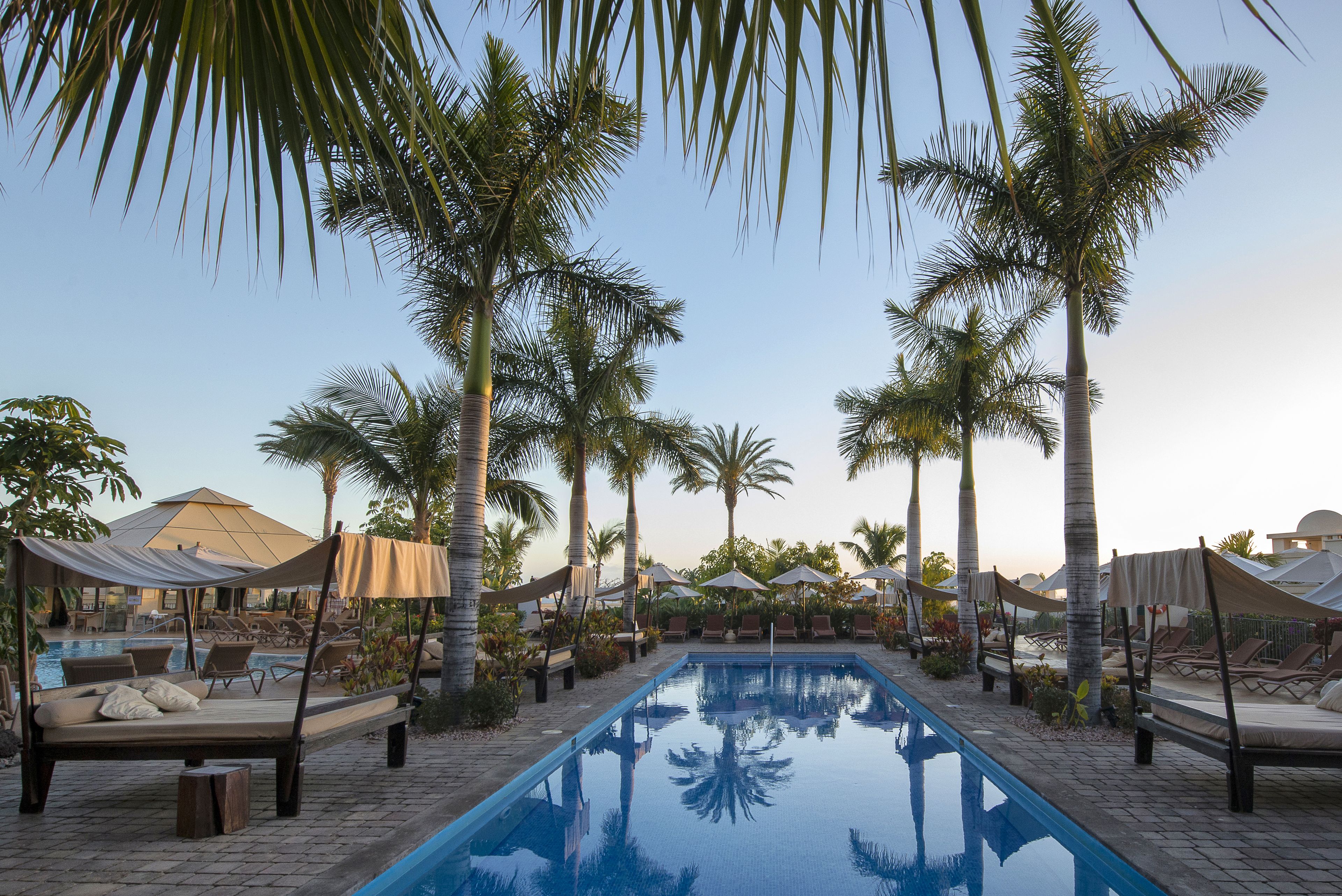 A pool area with lounge chairs and umbrellas, surrounded by palm trees.