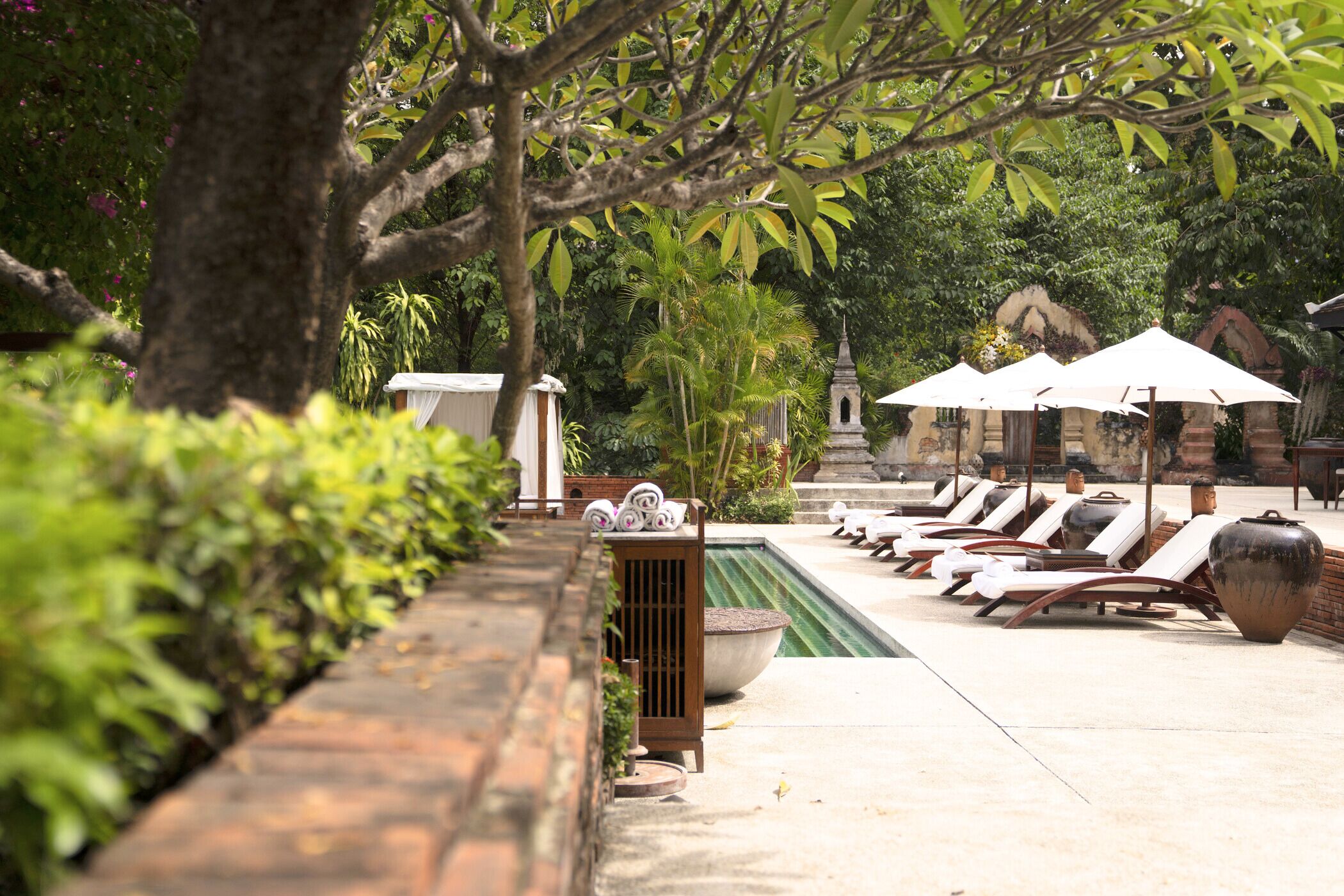 outdoor pool, pool umbrellas, pool loungers