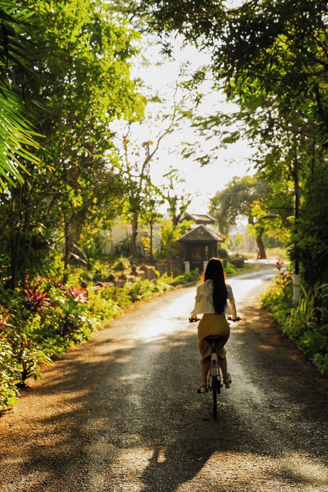 Foto - La Résidence Phou Vao