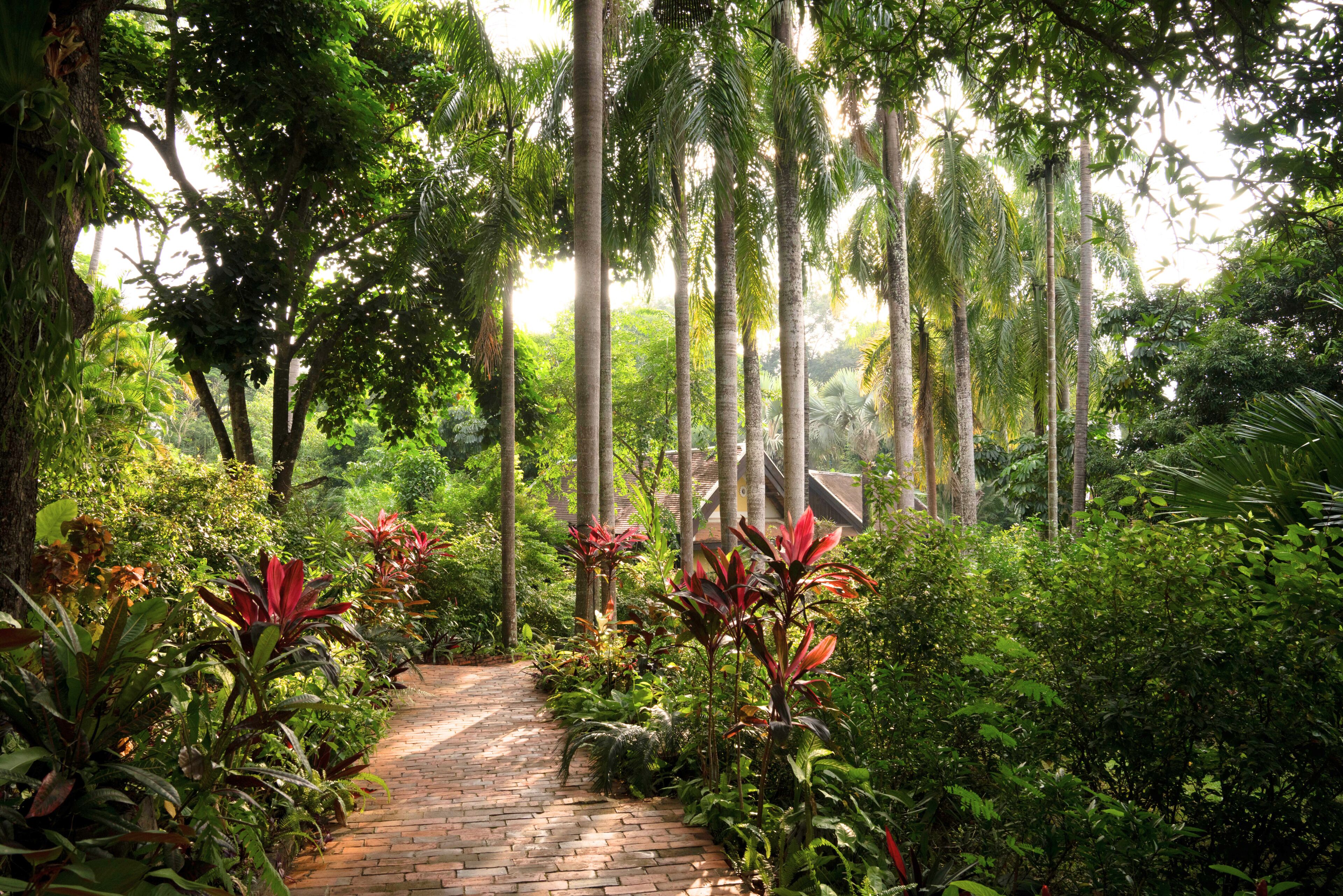 garden heritage suite | 1 bedroom, egyptian cotton sheets, premium bedding, down duvets