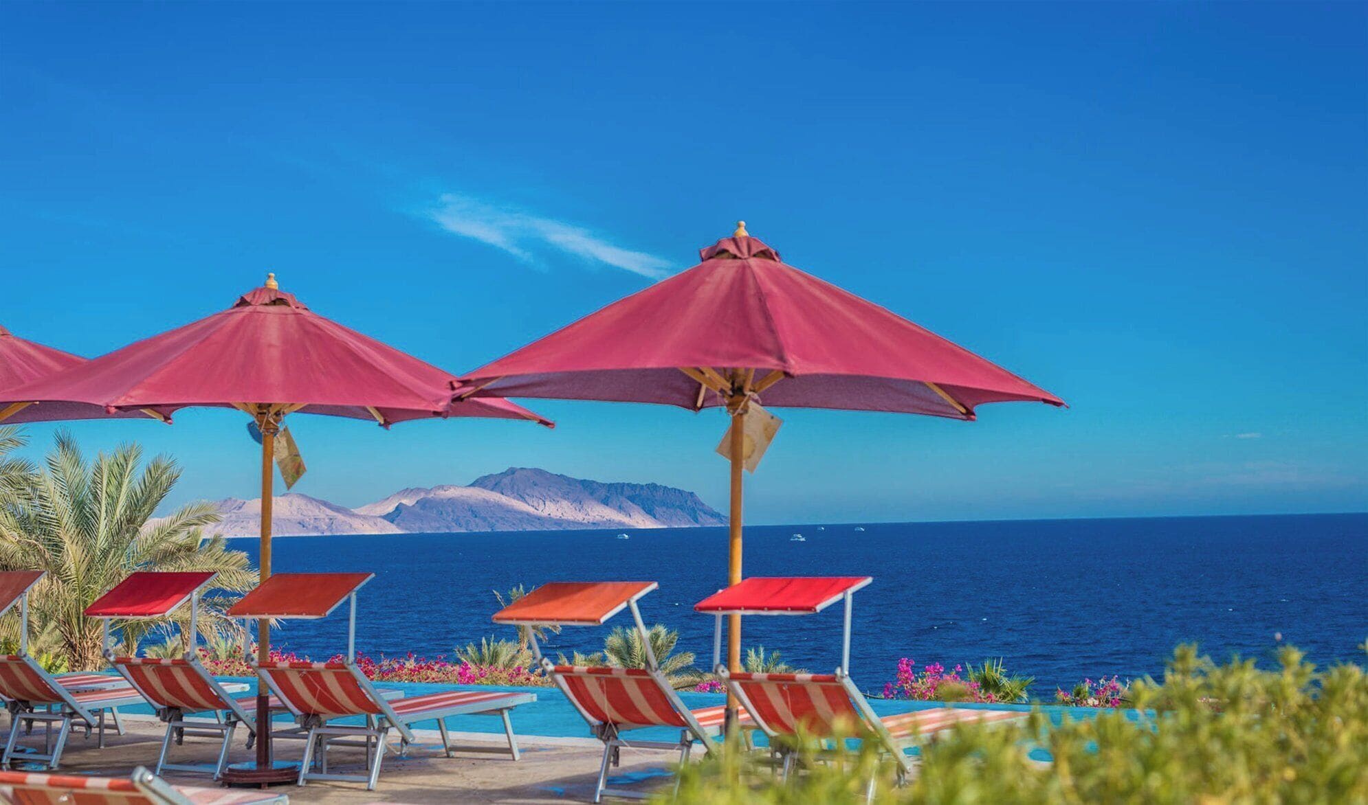 Photo - Grand Rotana Resort & Spa