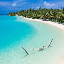 Relax in a tranquil beach setting with a hammock on the sandy shore, surrounded by palm trees and inviting turquoise waters.