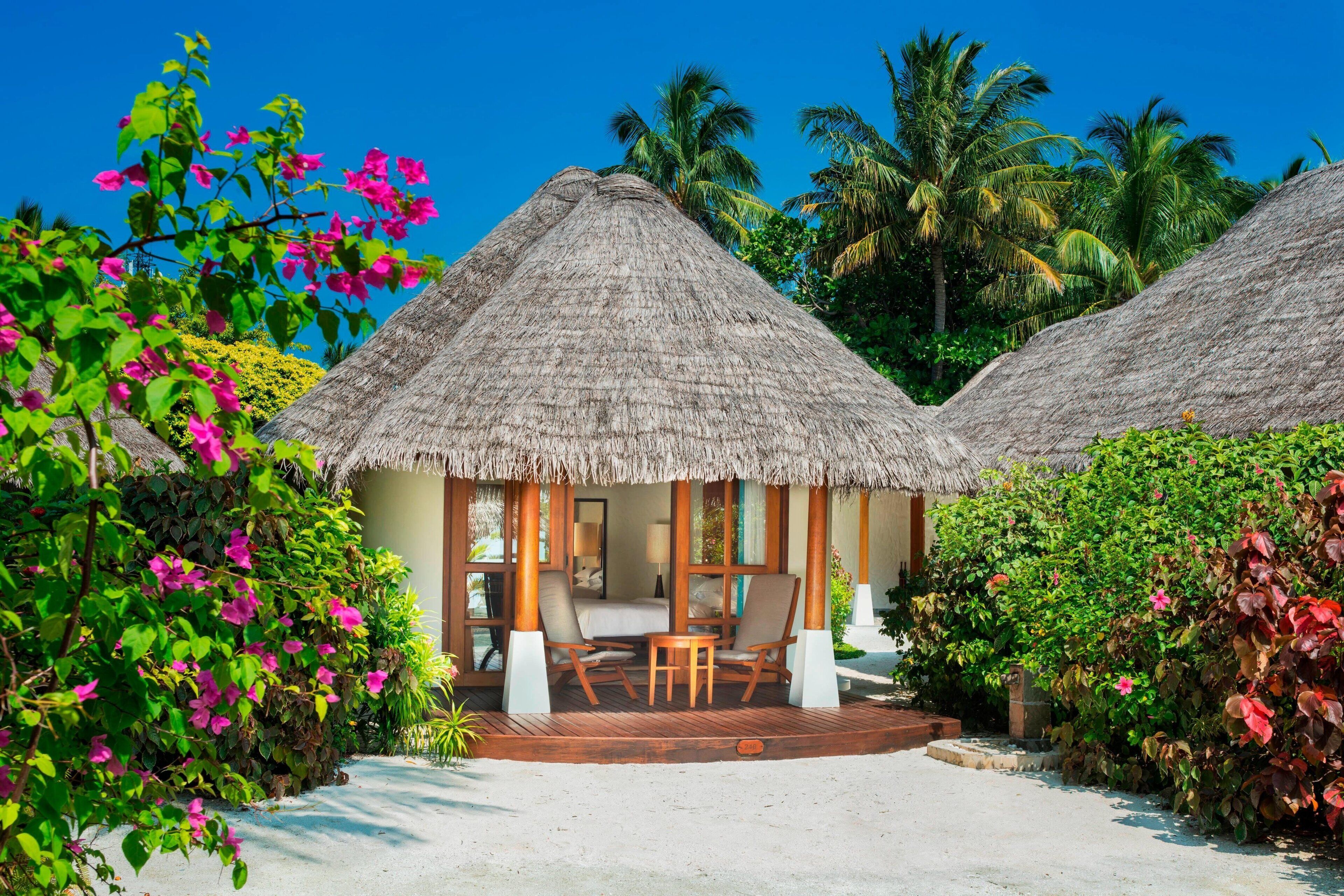 A thatched-roof bungalow with a wooden deck, surrounded by lush greenery and palm trees.