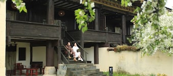 Banyan Tree Ringha