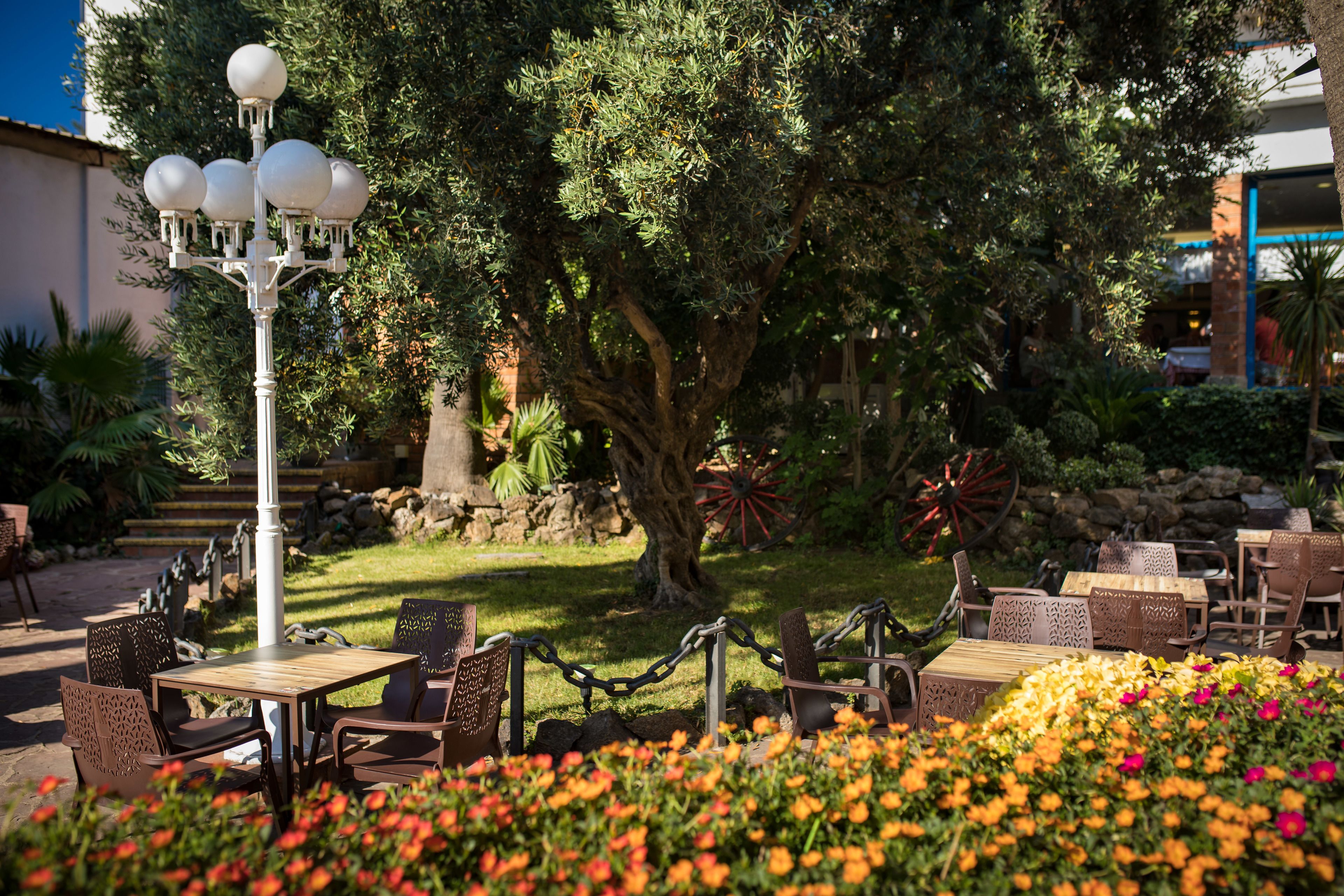 An outdoor seating area with tables and chairs, surrounded by flowers and a large tree.