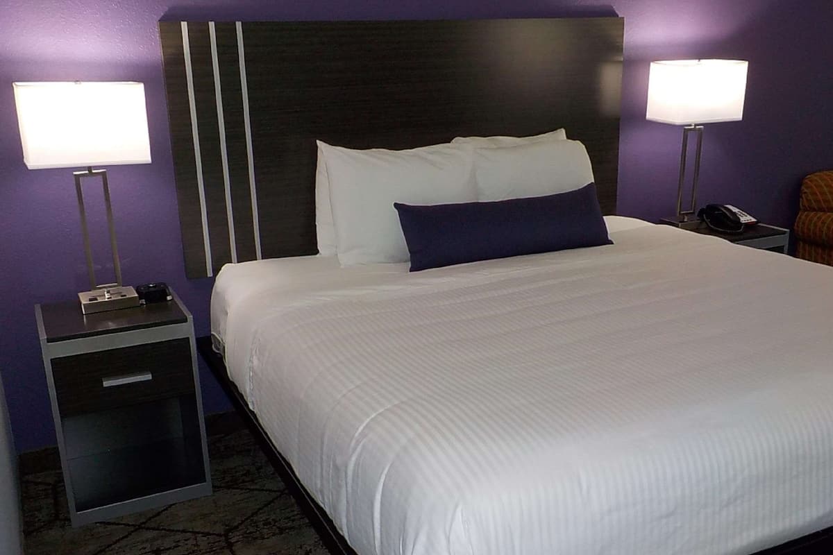 Standard Room, 1 King Bed, Non Smoking, Refrigerator & Microwave | Desk, laptop workspace, iron/ironing board, free WiFi