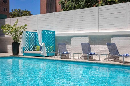 The Royal Sonesta Washington DC Dupont Circle - Image 4
