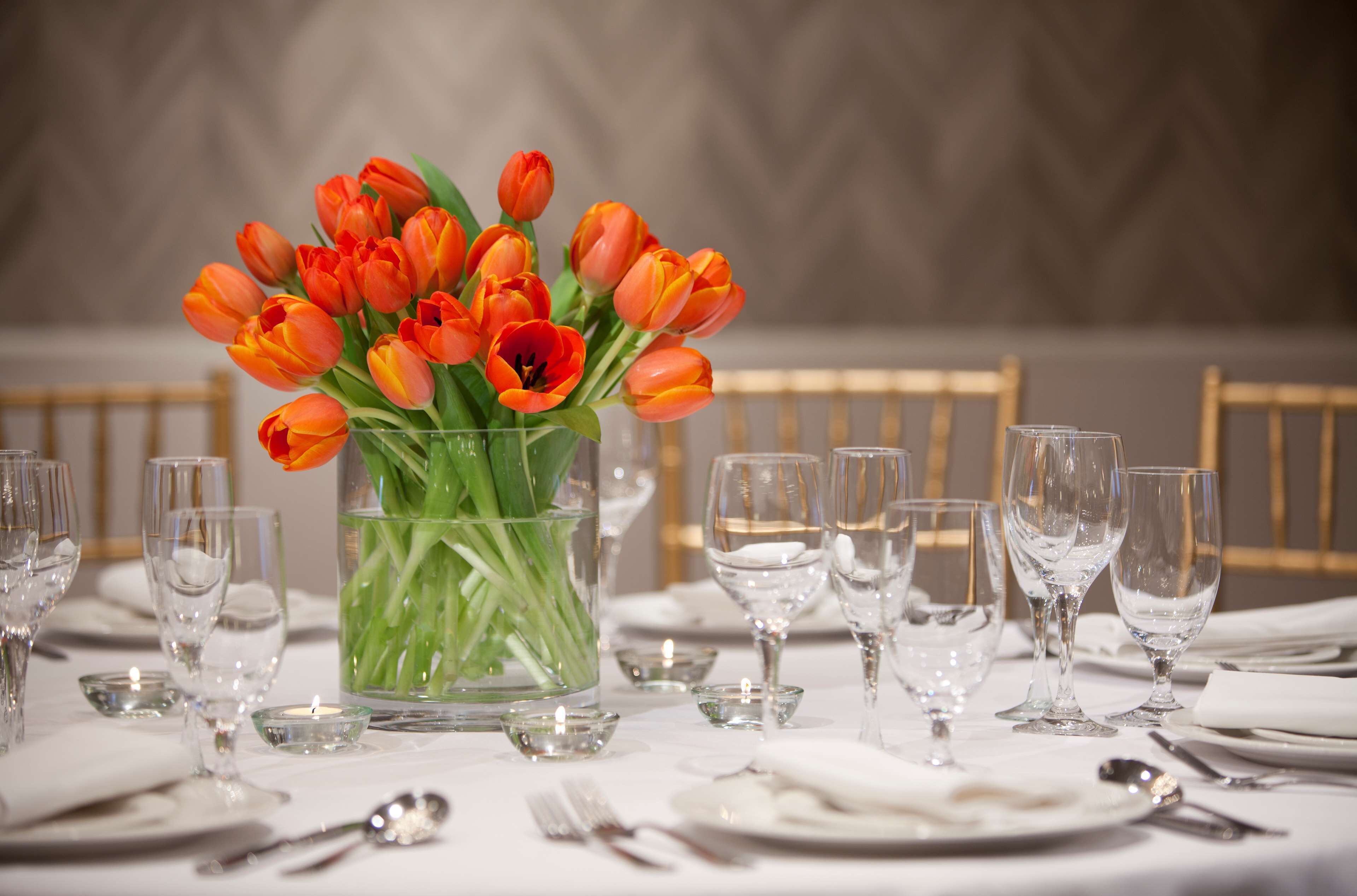 Foto - The Royal Sonesta Washington DC Dupont Circle