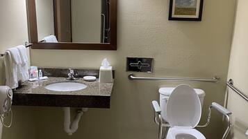 A bathroom with a sink, mirror, toilet, and handrails.