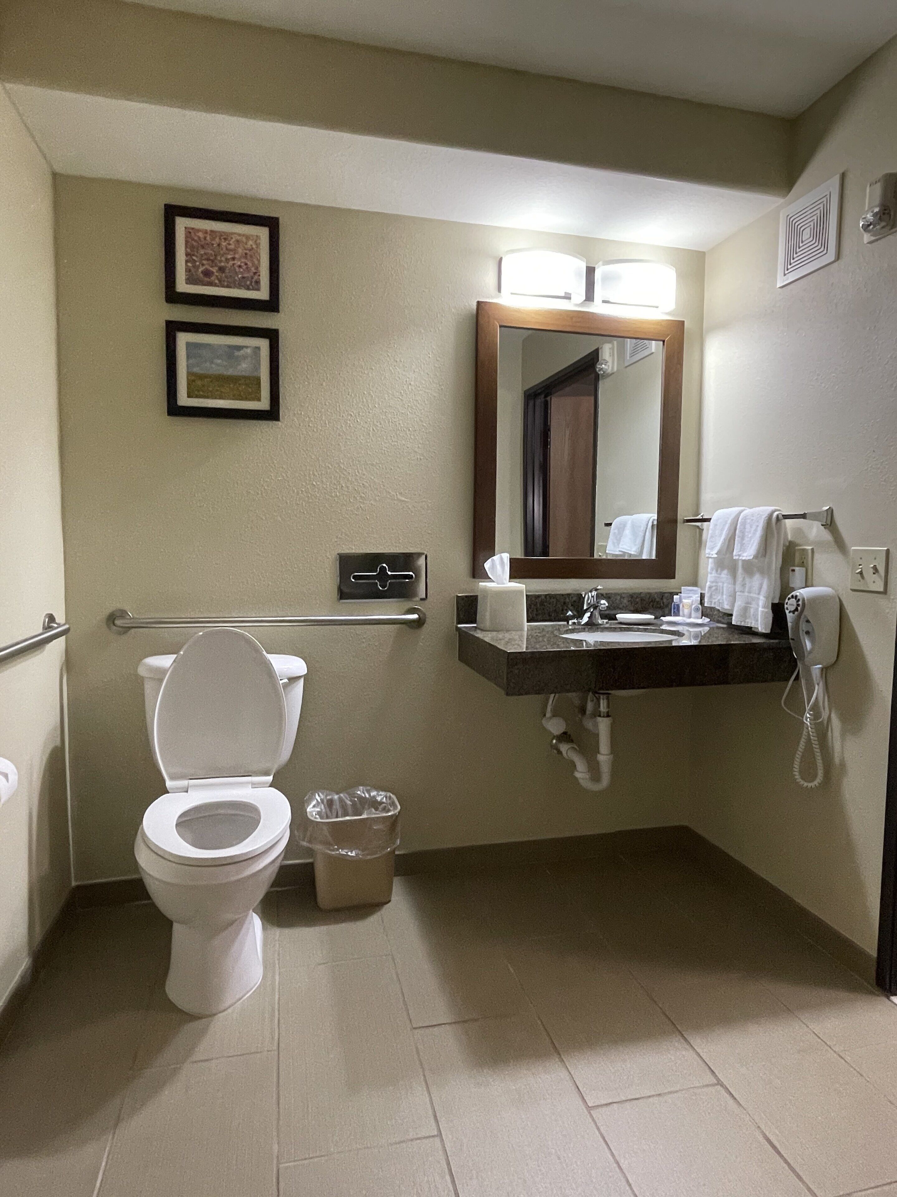 room, 1 king bed, accessible, non smoking | bathroom | free toiletries, hair dryer, towels, soap