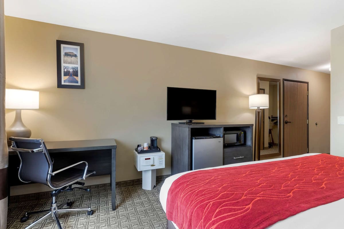 A hotel room with a bed, desk, chair, television, and a microwave.