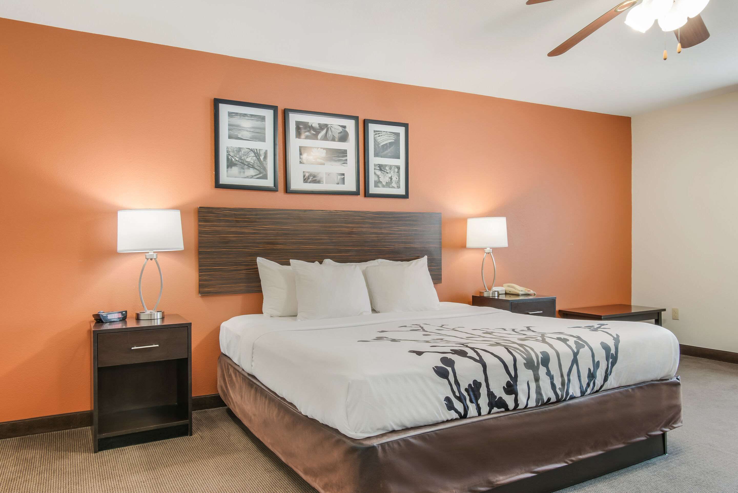 遮光布/窗簾、熨斗/熨衣板、免費搖籃/嬰兒床、折疊床/加床