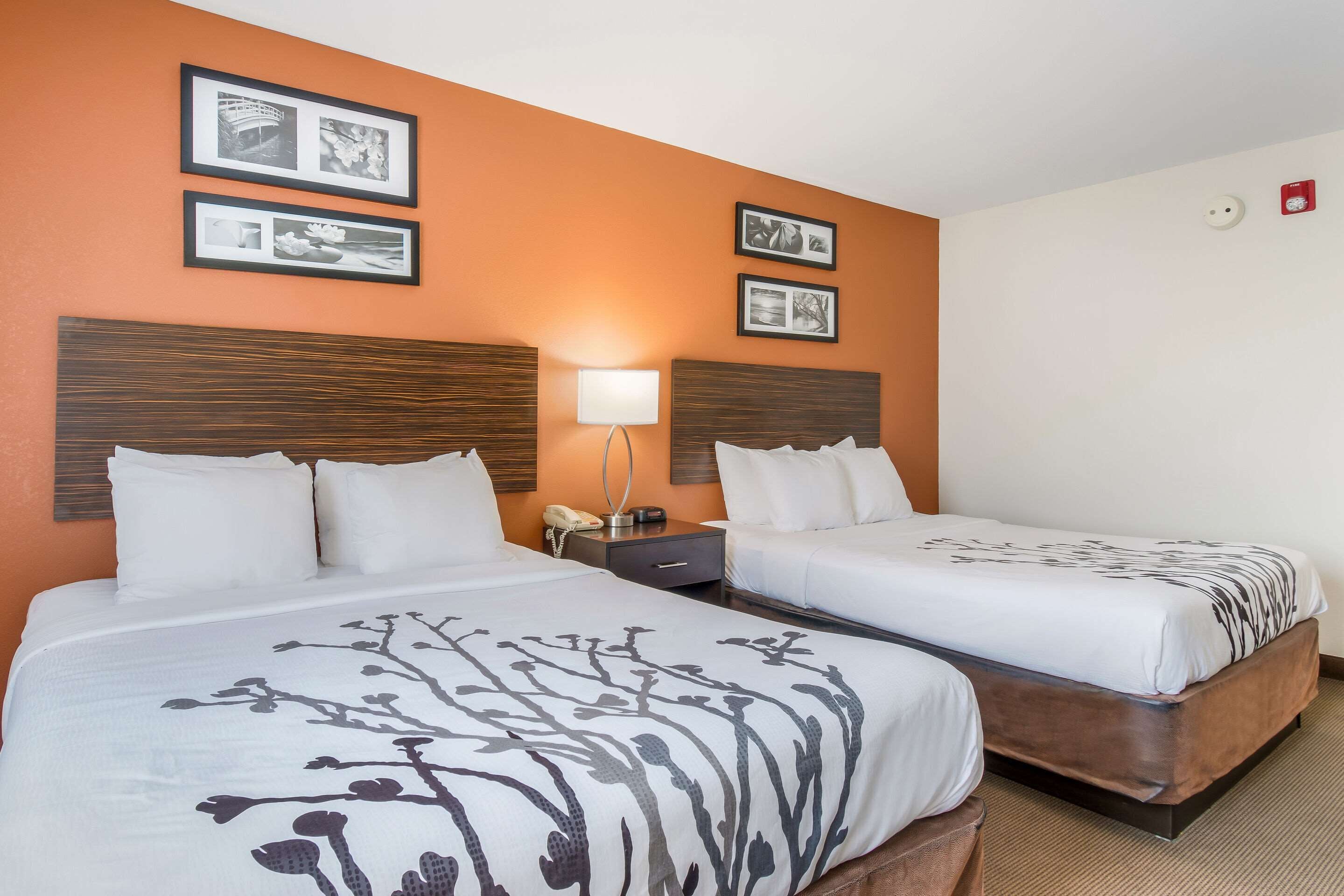 A hotel room with two beds, a nightstand, a lamp, and framed pictures on the wall.