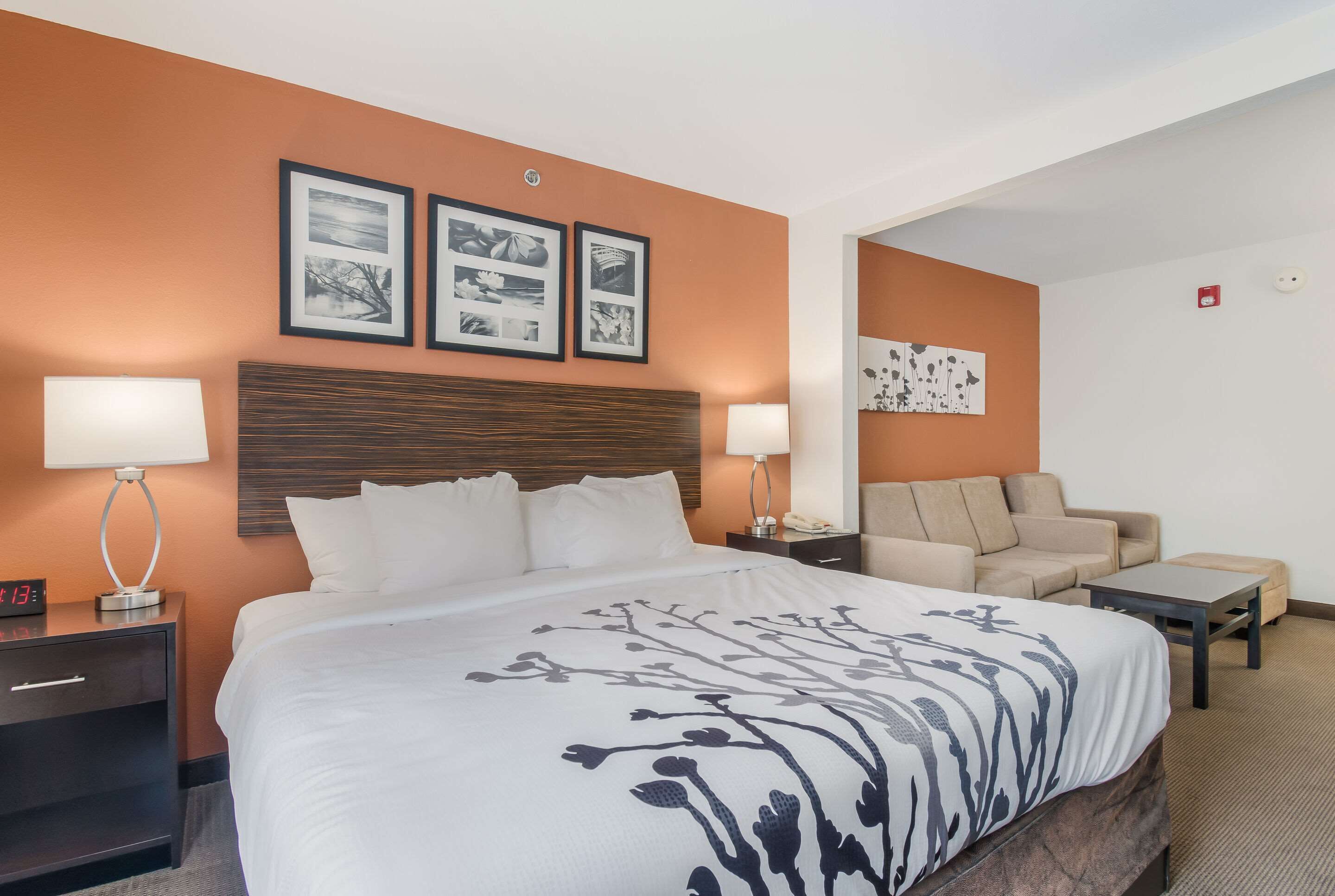 Une chambre d’hôtel avec un grand lit, deux tables de chevet avec des lampes, un canapé et une petite table. Les murs sont ornés de tableaux encadrés et il y a un détecteur d’incendie.