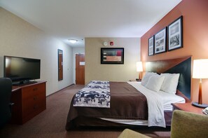 Standard Room, 1 King Bed, Non Smoking | View from room