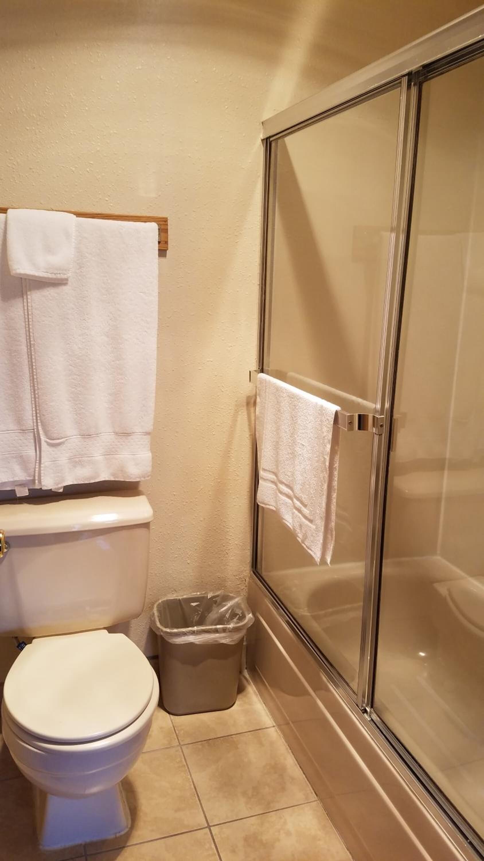 A bathroom with a toilet, a trash can, and a glass-enclosed shower.