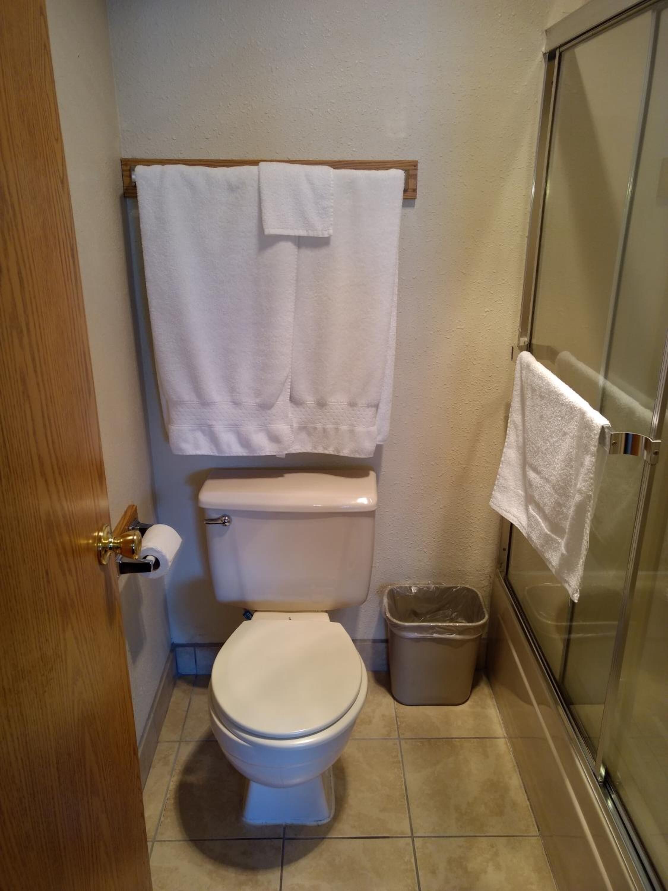 Un baño con inodoro, ducha y un cubo de basura.
