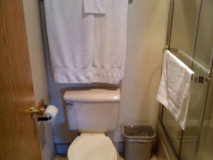 Un baño con inodoro, ducha y un cubo de basura.