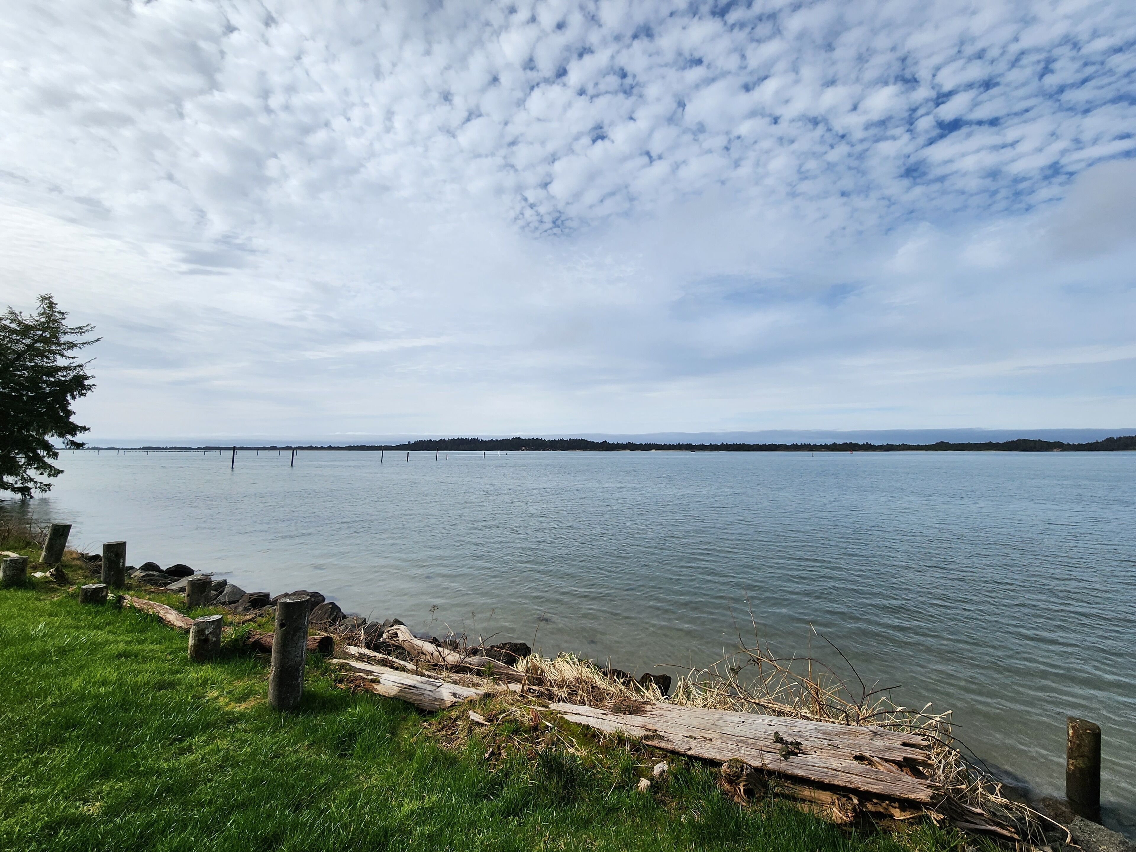 A calm lake with a grassy shoreline and wooden posts.