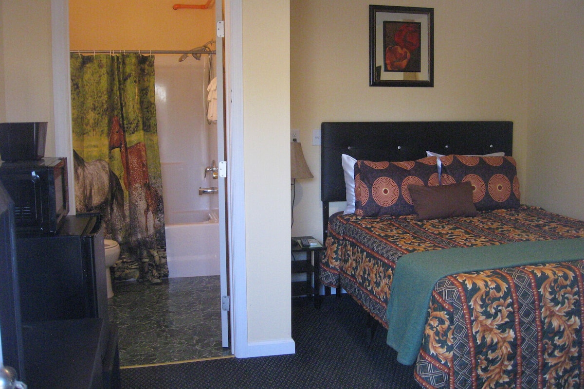 A hotel room with a bed, a bathroom with a shower, and a television.