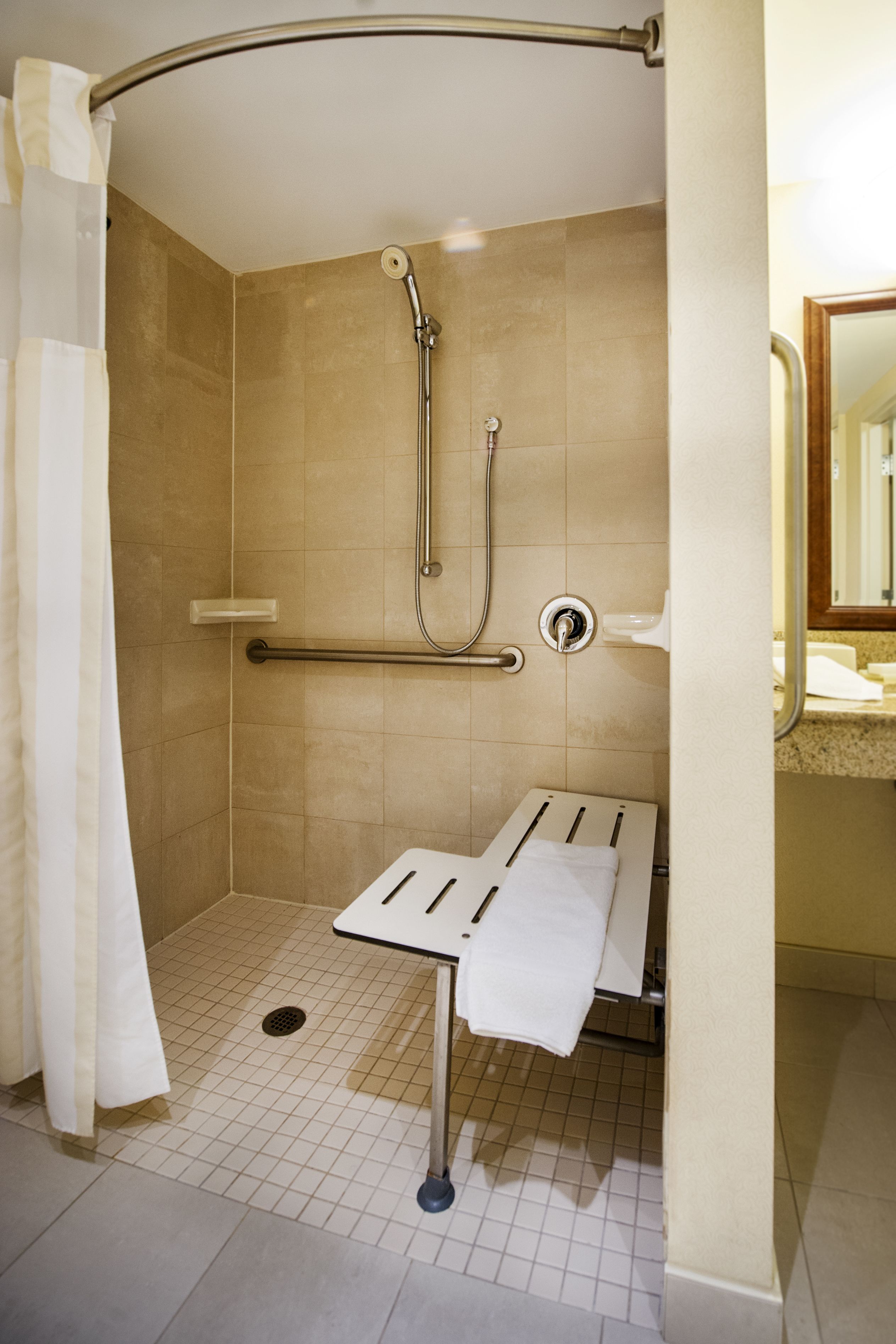 room, 1 king bed, accessible | bathroom shower