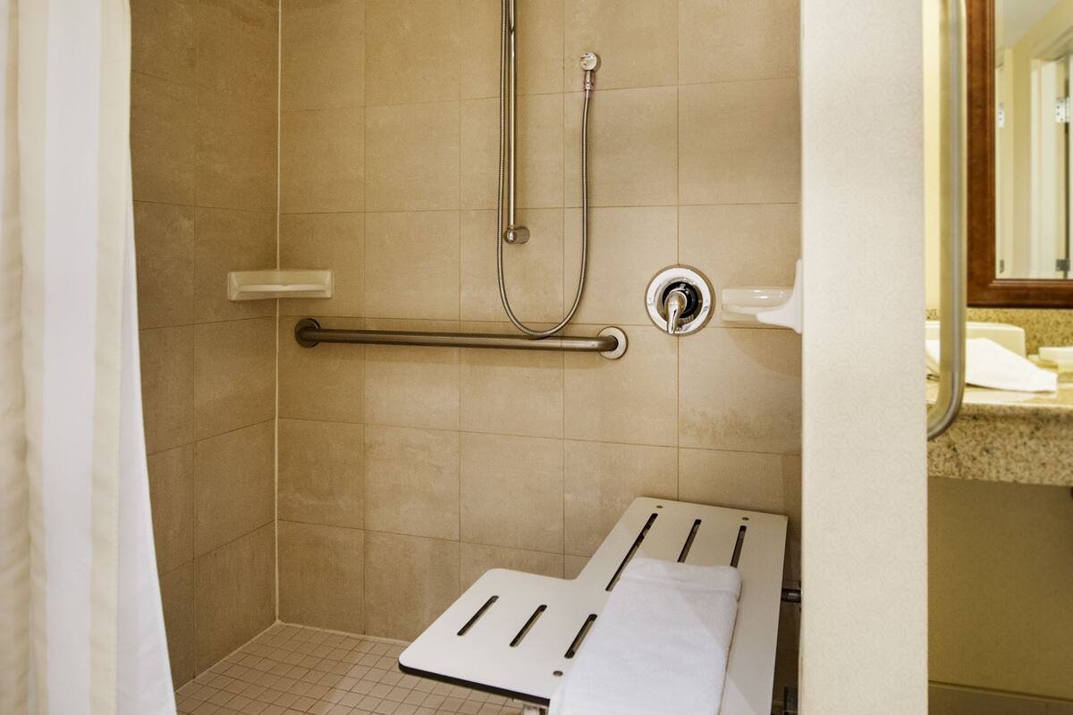room, 1 king bed, accessible | bathroom shower