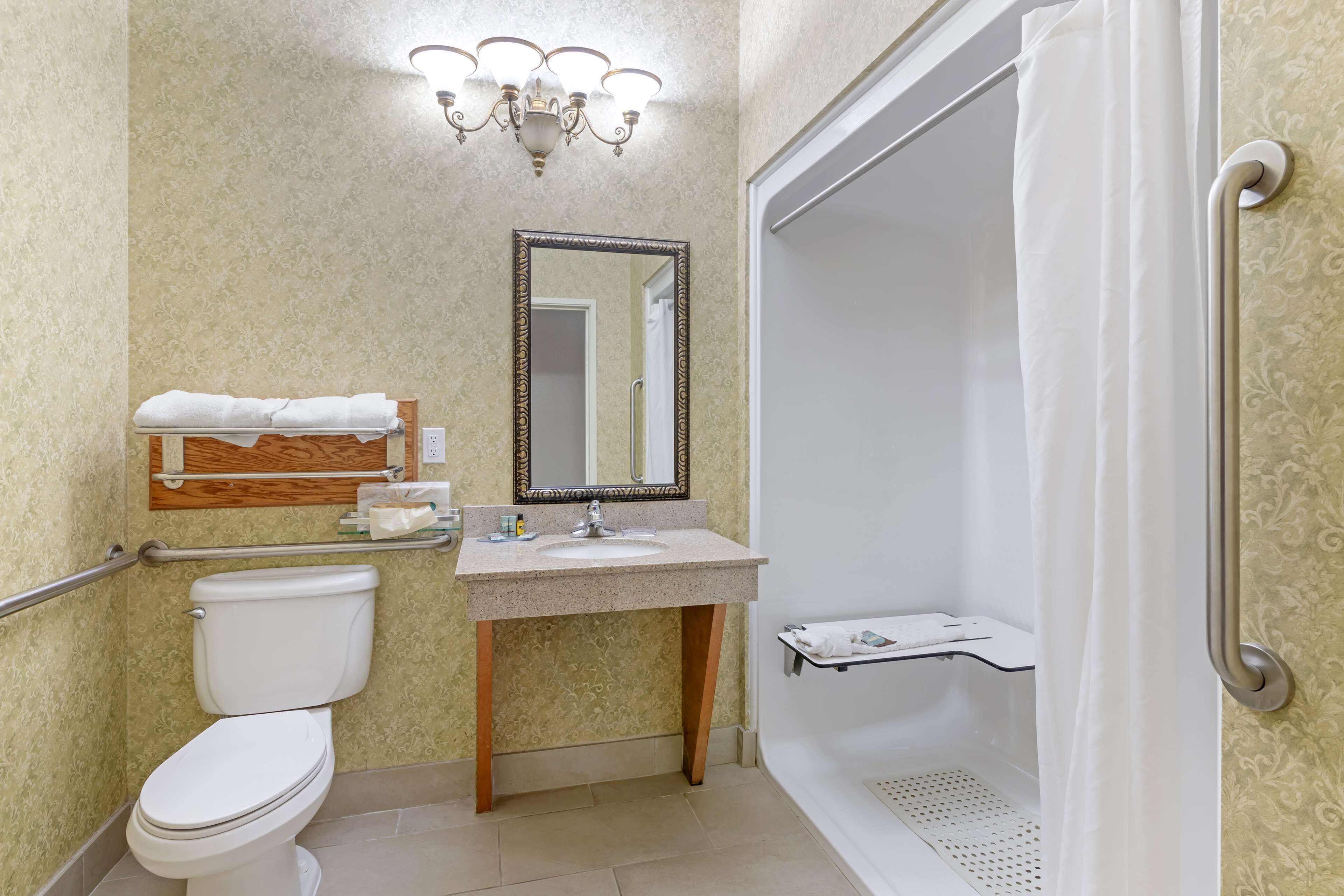A bathroom with a toilet, sink, mirror, shower, and grab bars.