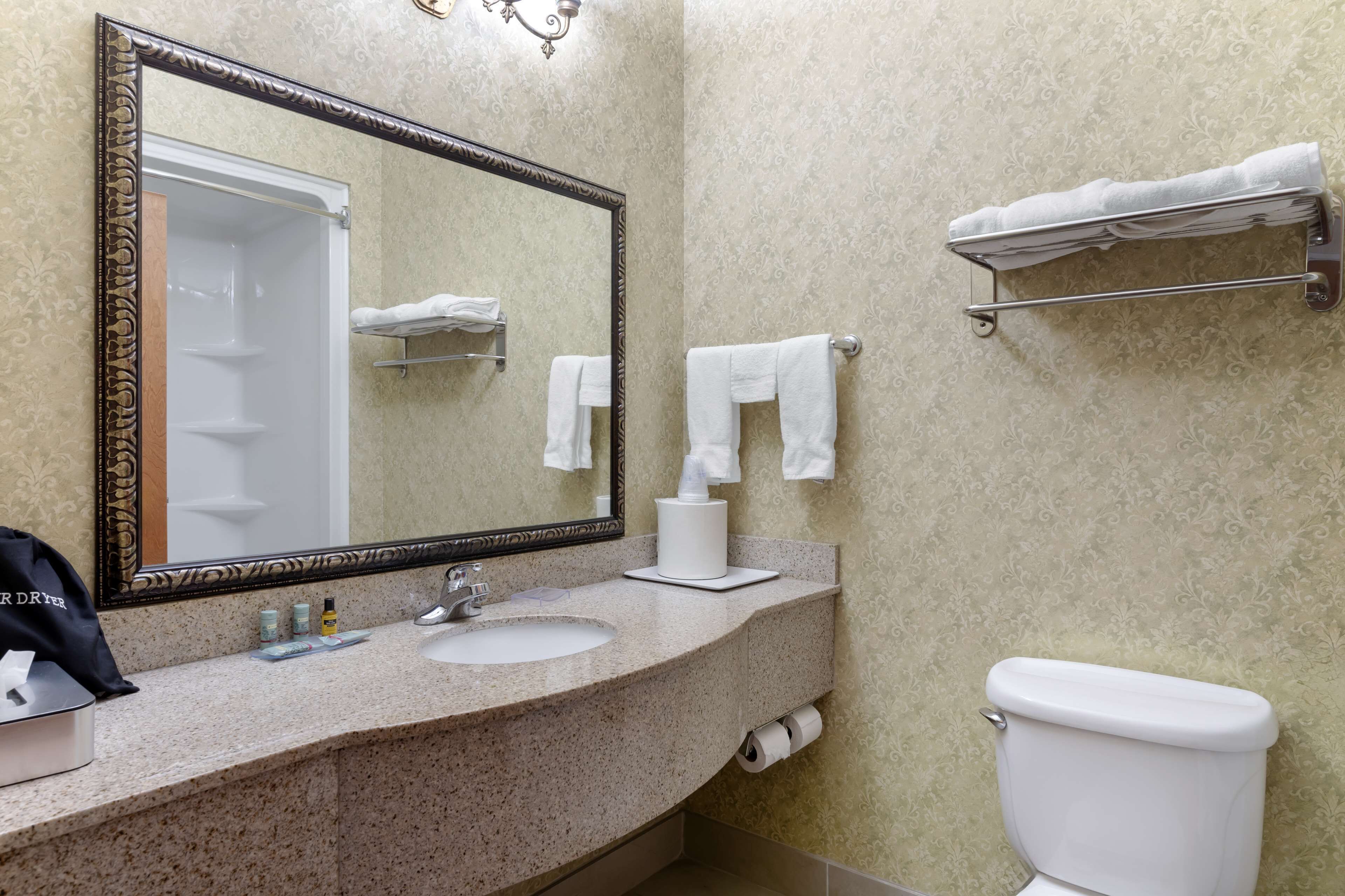 A bathroom with a large mirror, a sink, a toilet, and towel racks.