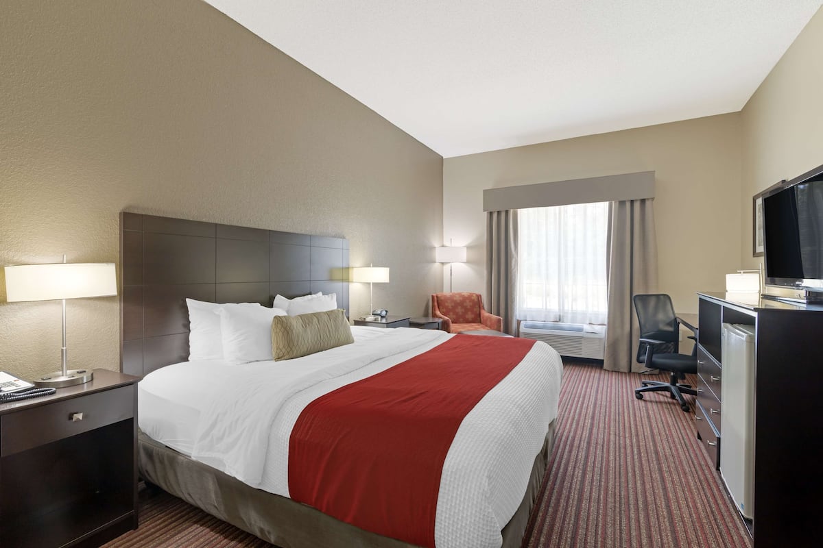 Standard Room, 1 King Bed, Accessible, Non Smoking