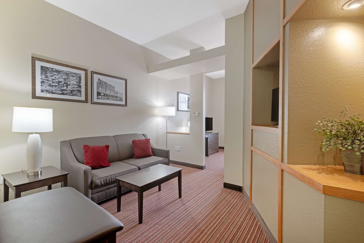 Suite, 1 King Bed, Non Smoking, Microwave (with Sofabed)