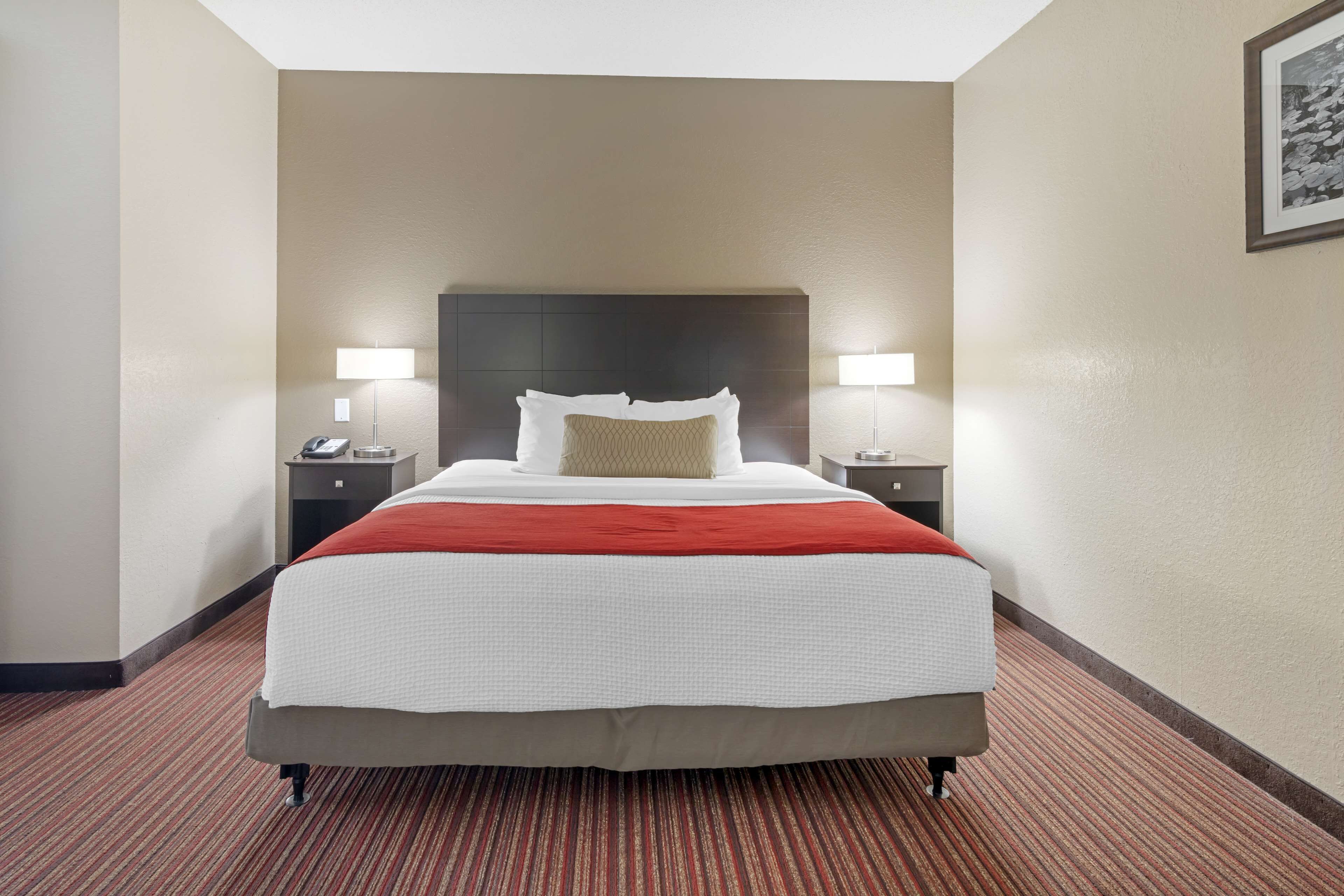 Habitación de hotel con una cama grande, dos mesitas de noche, un cabecero y un cuadro enmarcado en la pared.