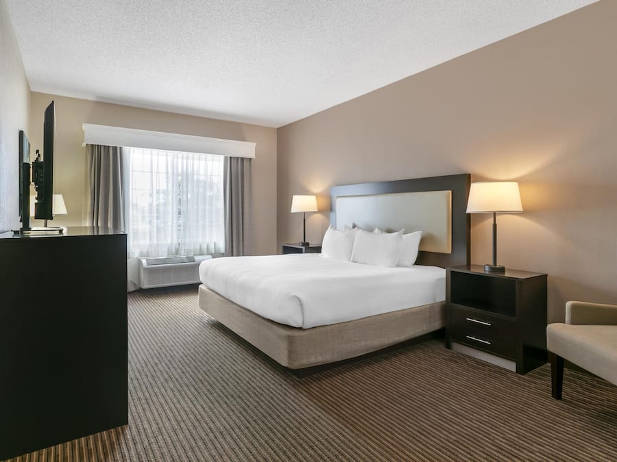 Standard Room, 1 King Bed, Non Smoking
