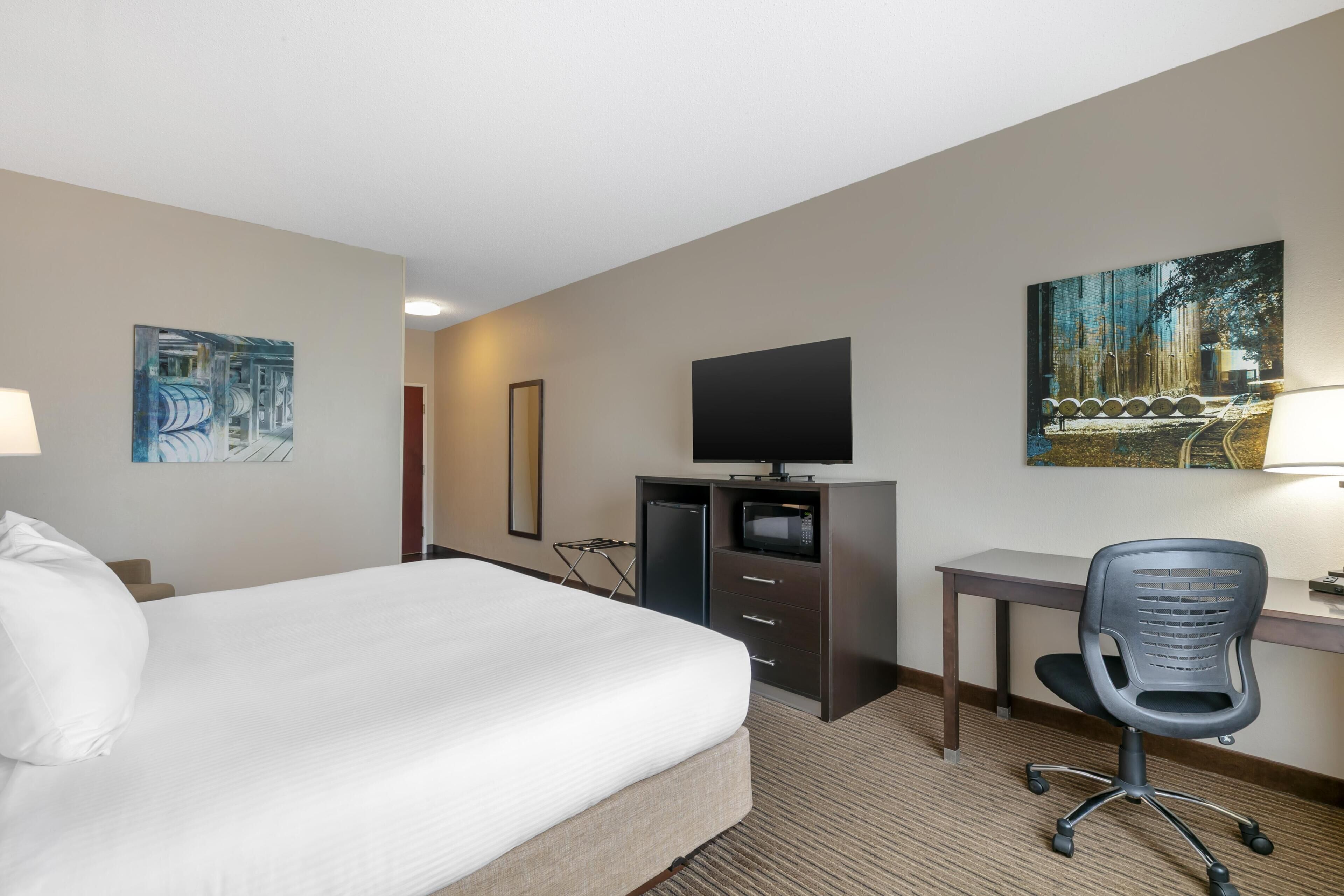 Standard Room, 1 King Bed, Non Smoking | Hypo-allergenic bedding, desk, laptop workspace, blackout drapes